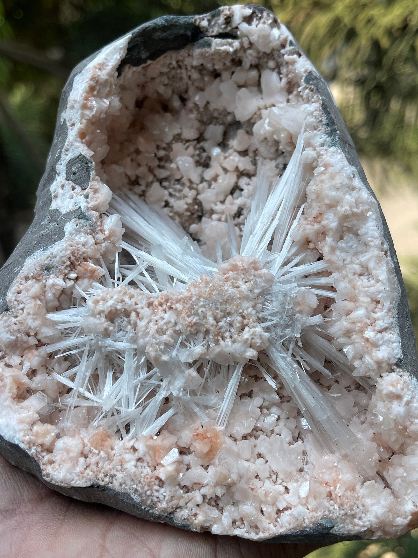 Scolecite spray with orange heulandite crystals inside geode natural specimen