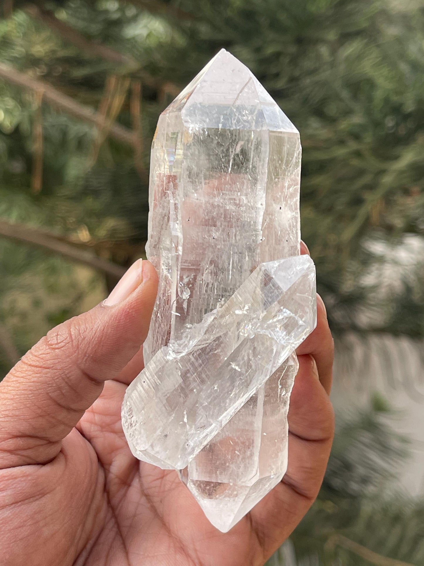 Double terminated Himalayan quartz floaters crystal