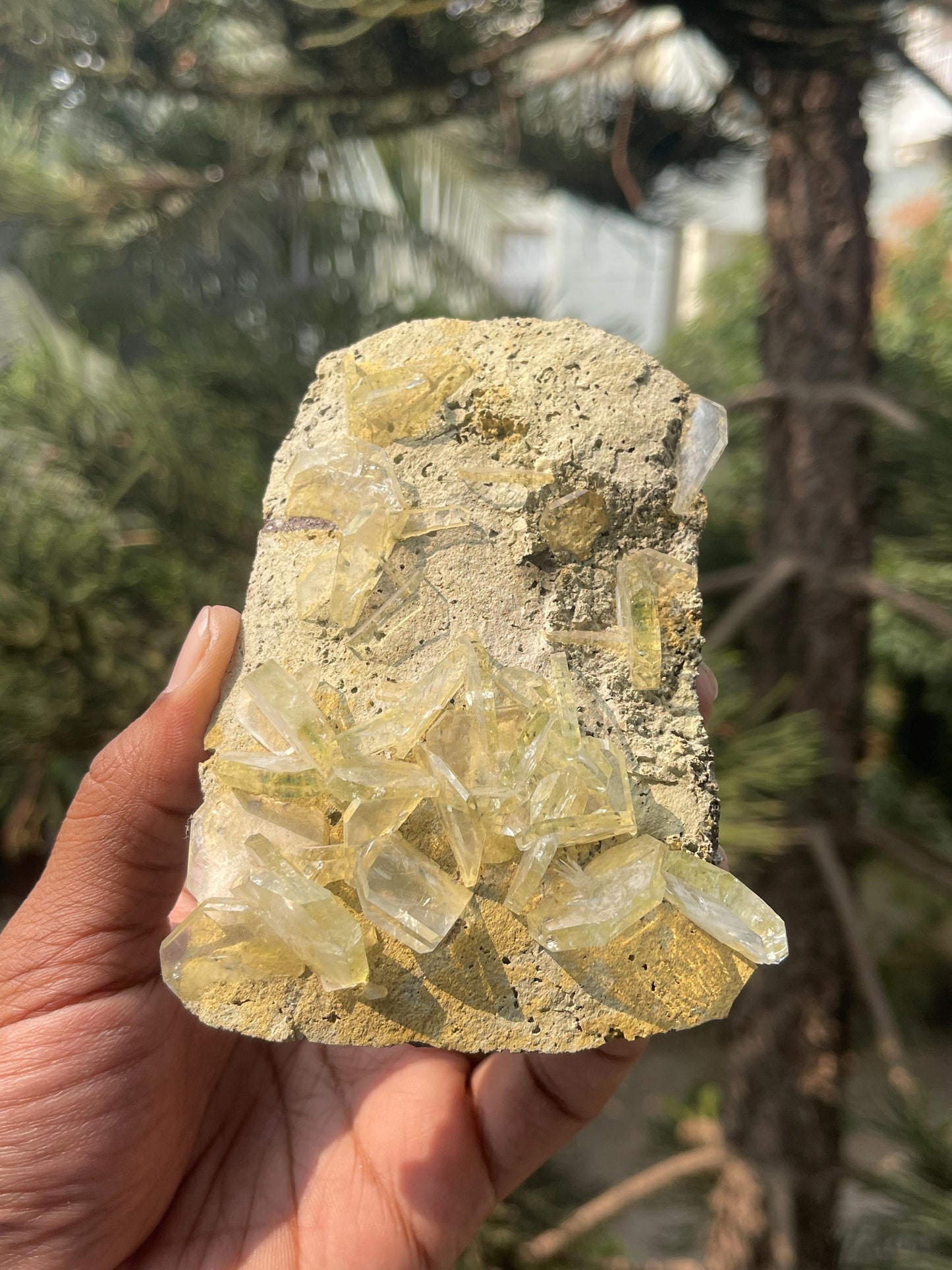 Apophyllite crystals on matrix