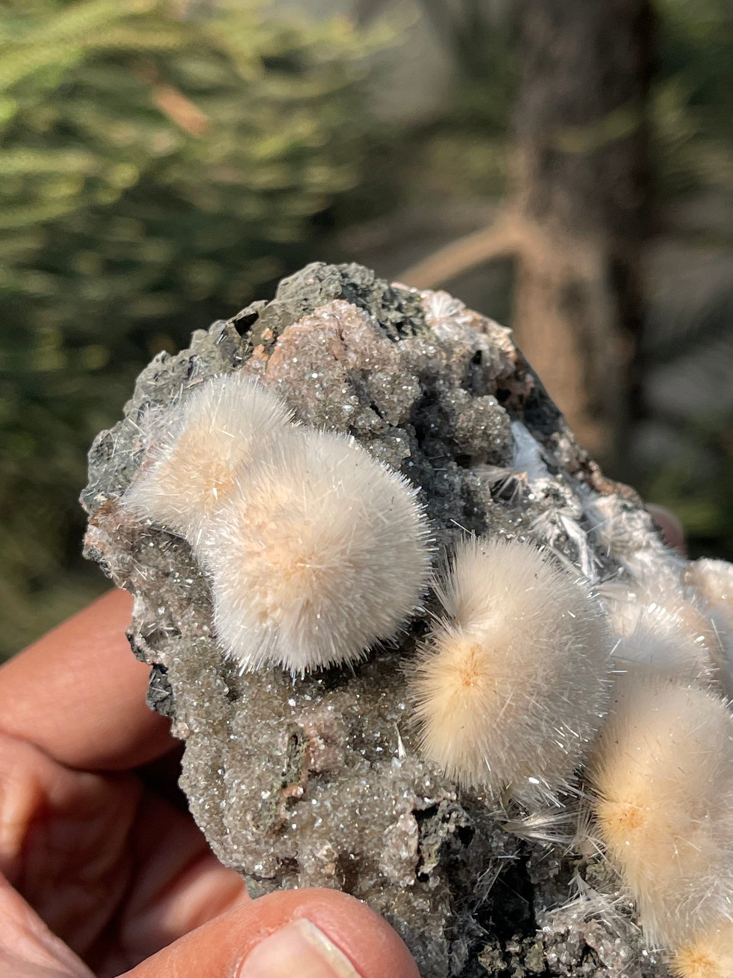 Natural orange mesolite balls on matrix new find