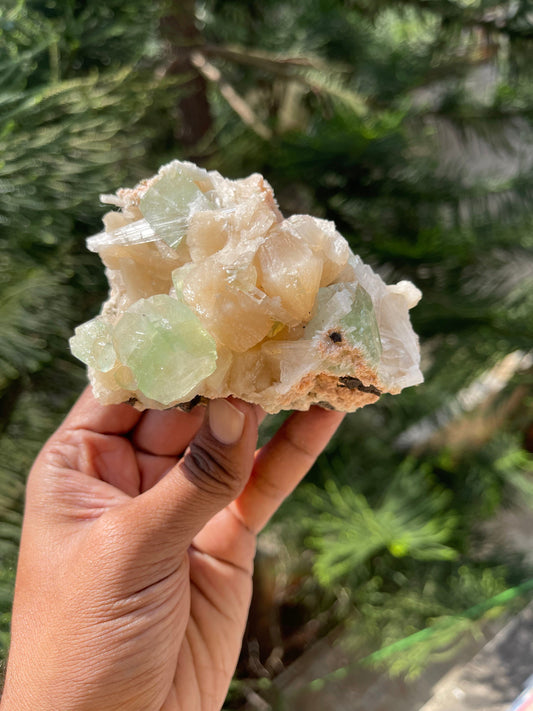 Natural green app with scolecite and stilbite