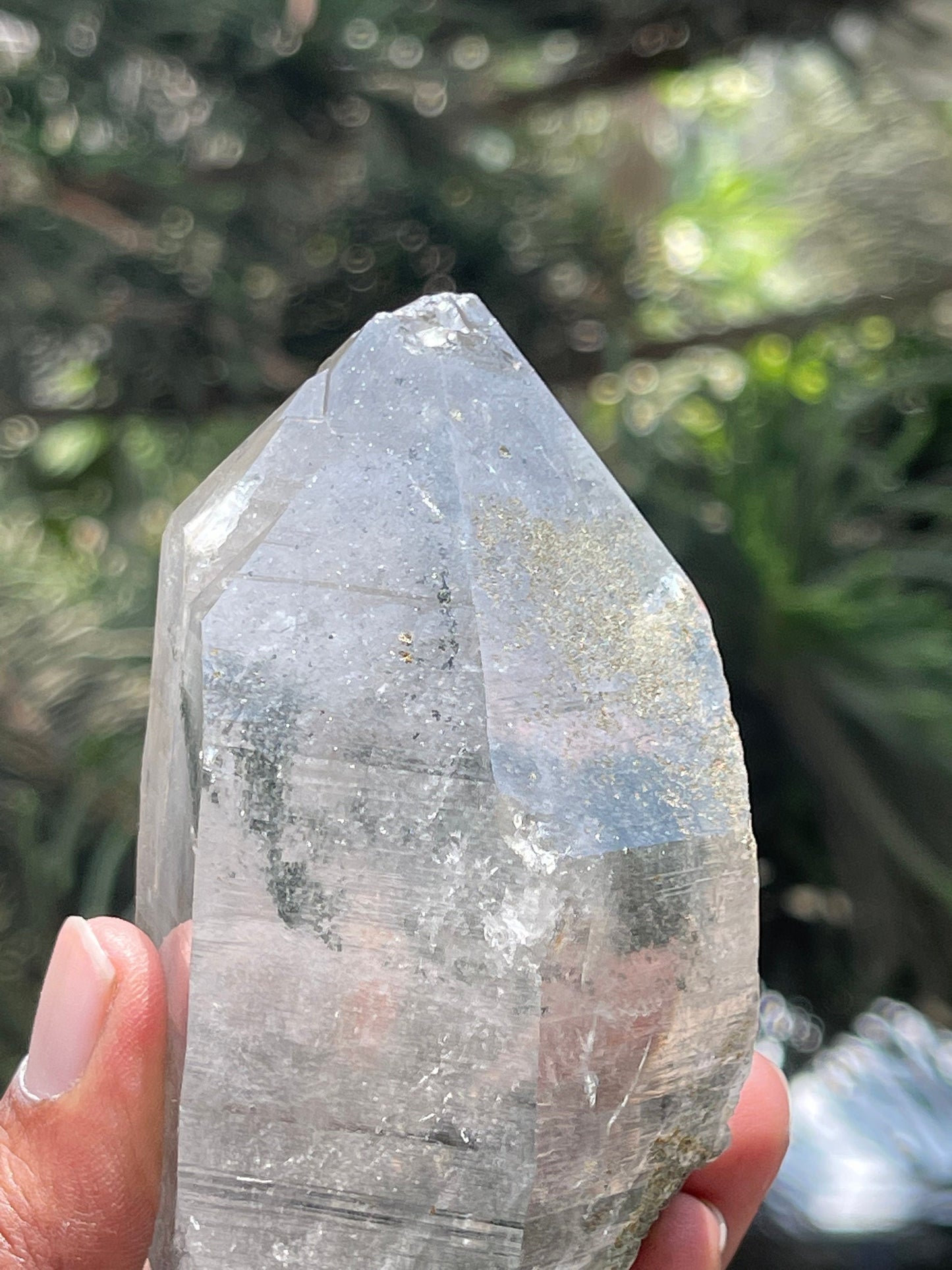 Rare formation.. double terminated of Himalayan quartz crystals with green Chlorite/golden rutile