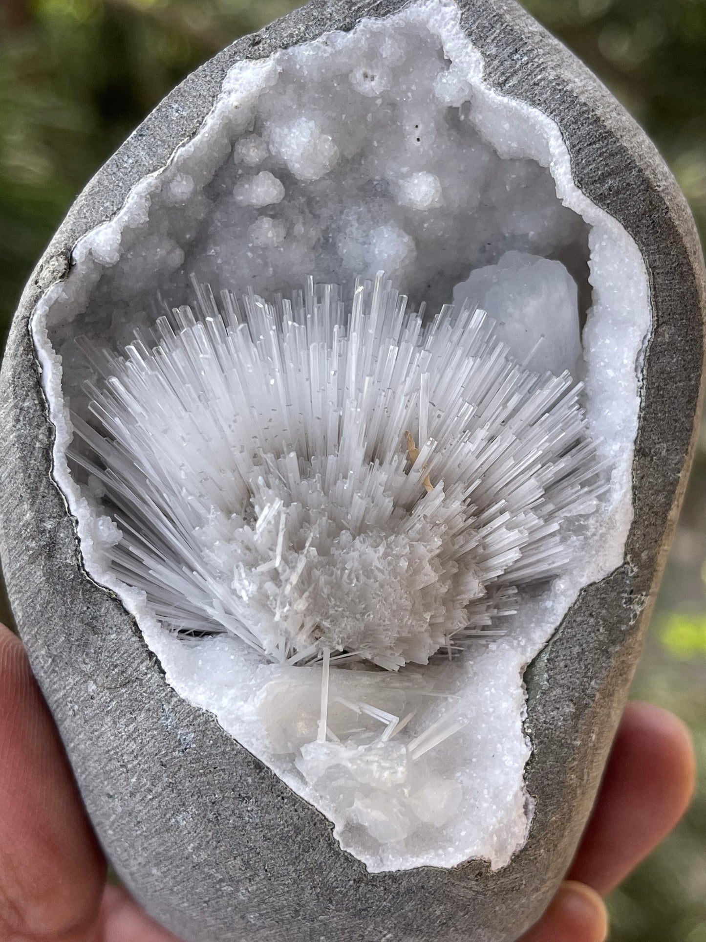 Scolecite flower with stilbite crystal insides quartz geode