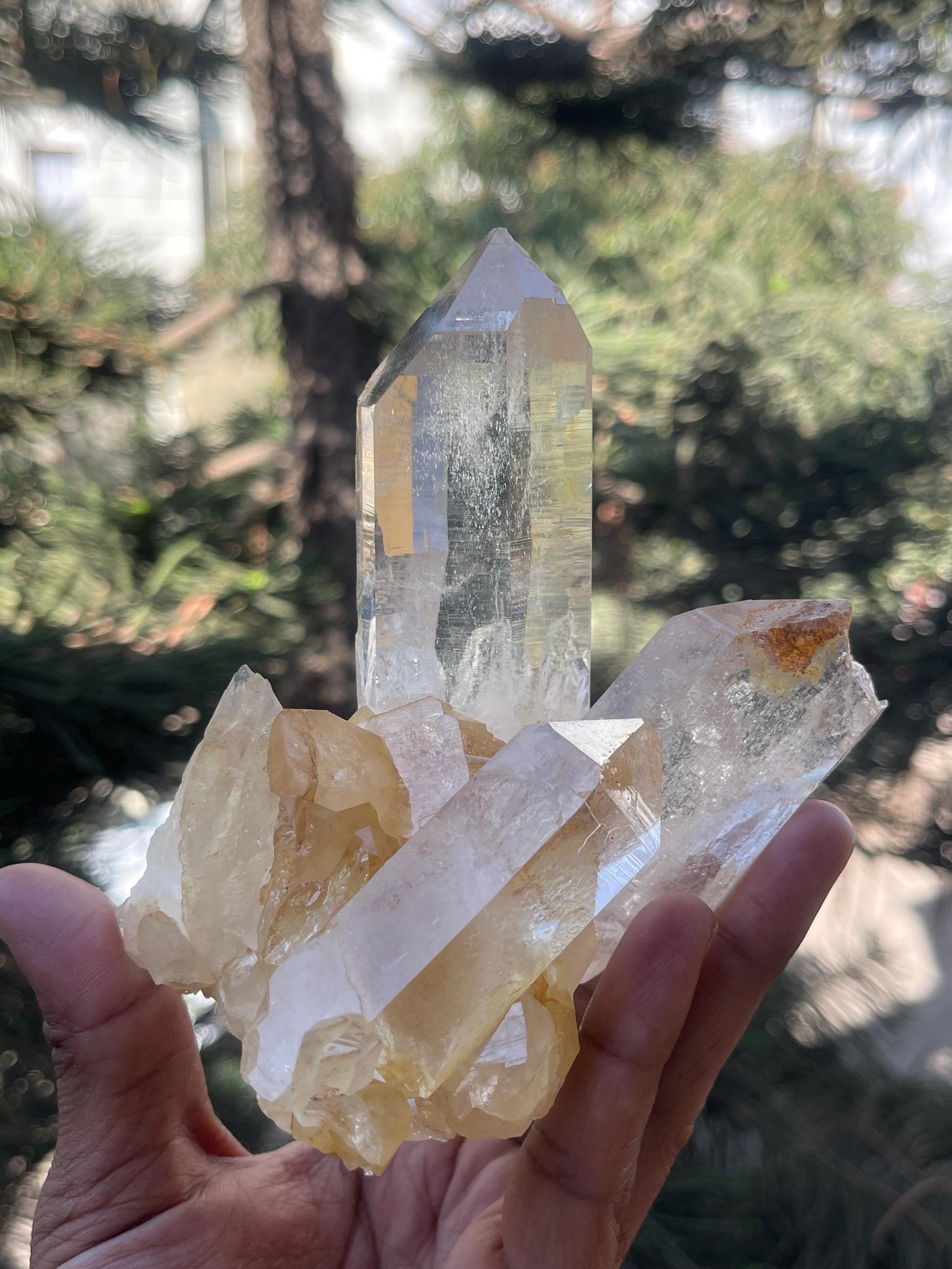 water clear Himalayan cathedral quartz crystal on matrix