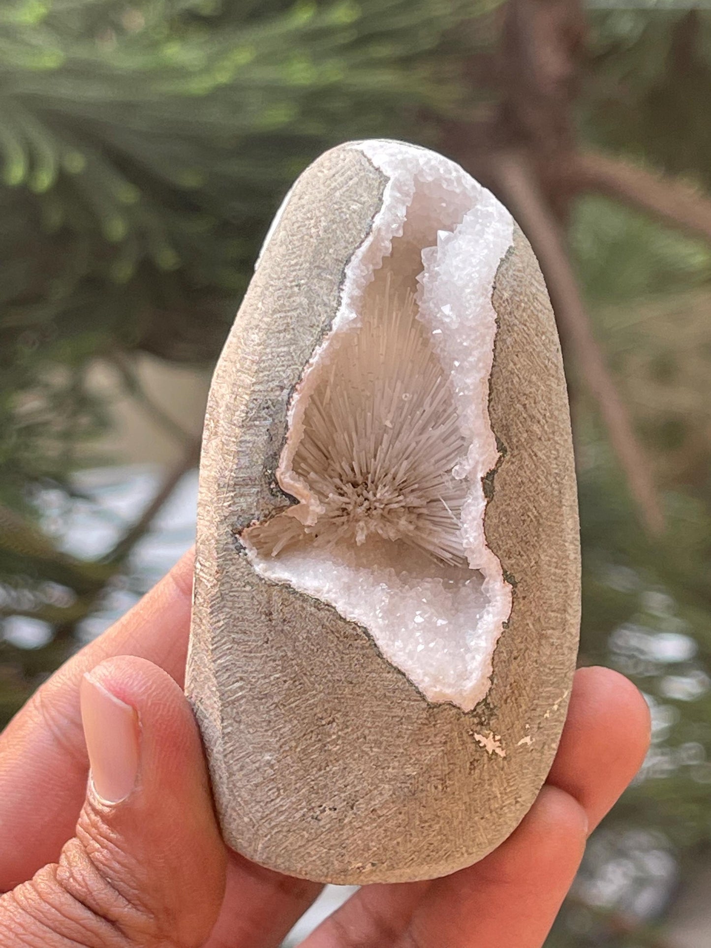 Scolecite flower inside geode