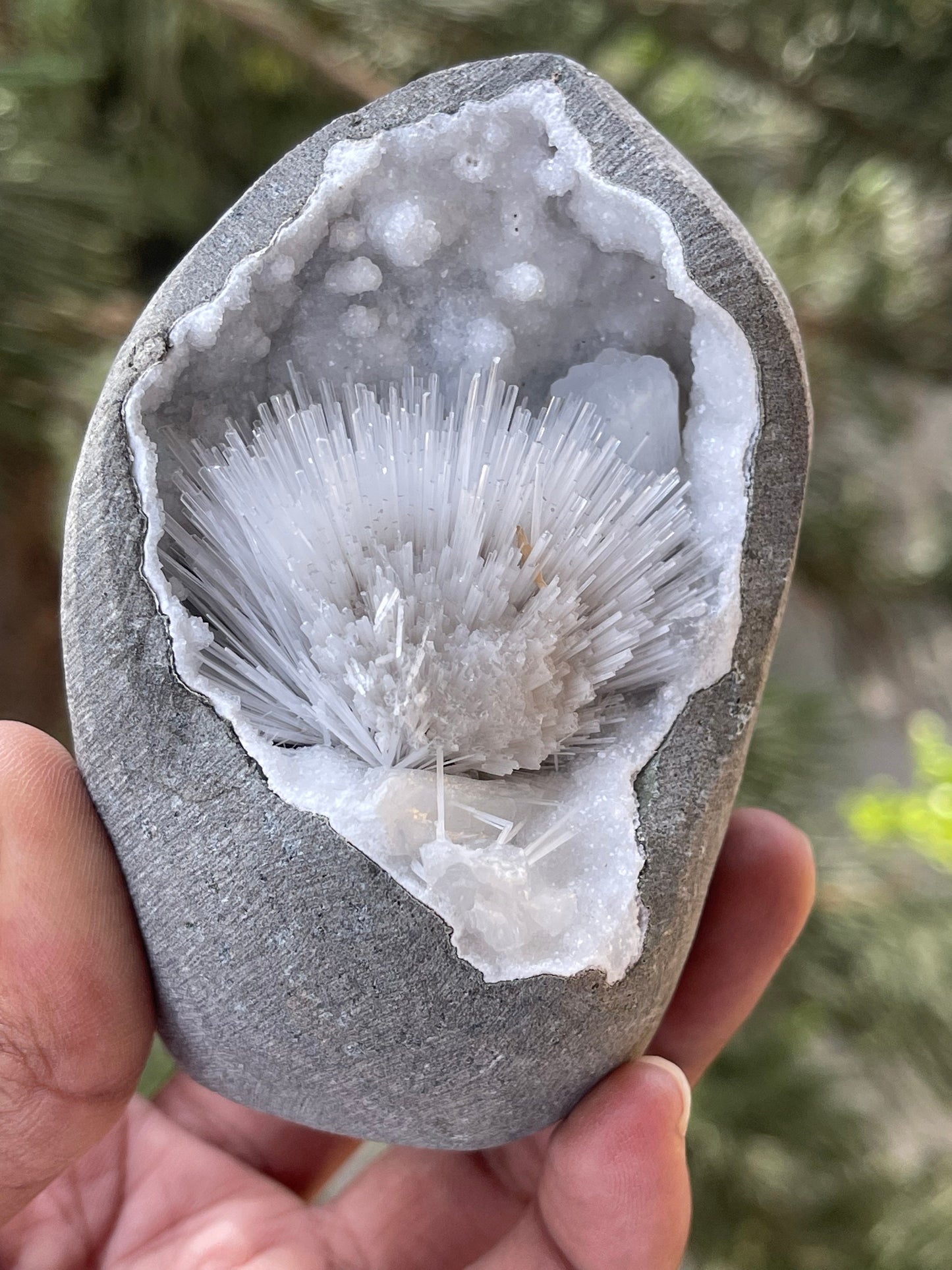 Scolecite flower with stilbite crystal insides quartz geode