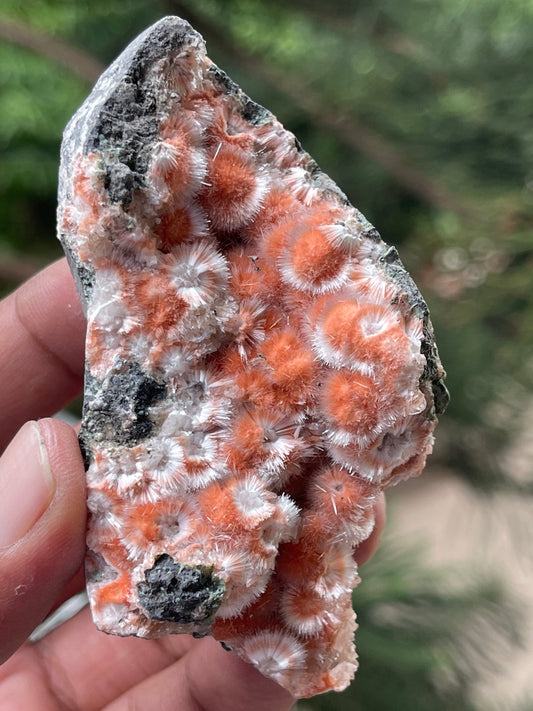 Orange mesolite ball