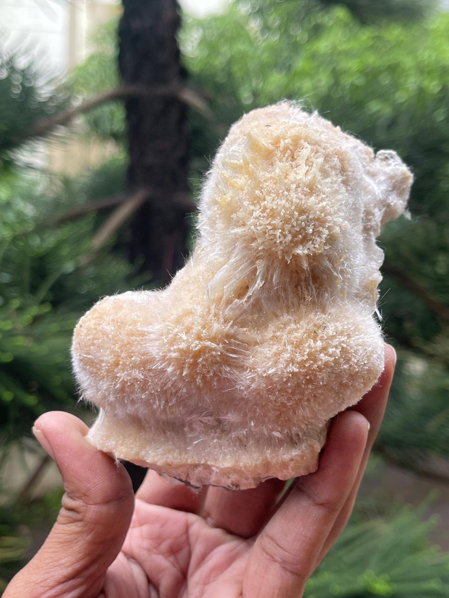 Golden thomsonite ball on matrix new find