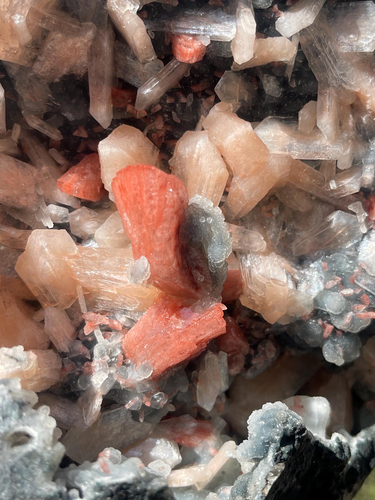 brown heulandite crystal on black coral with stilbite