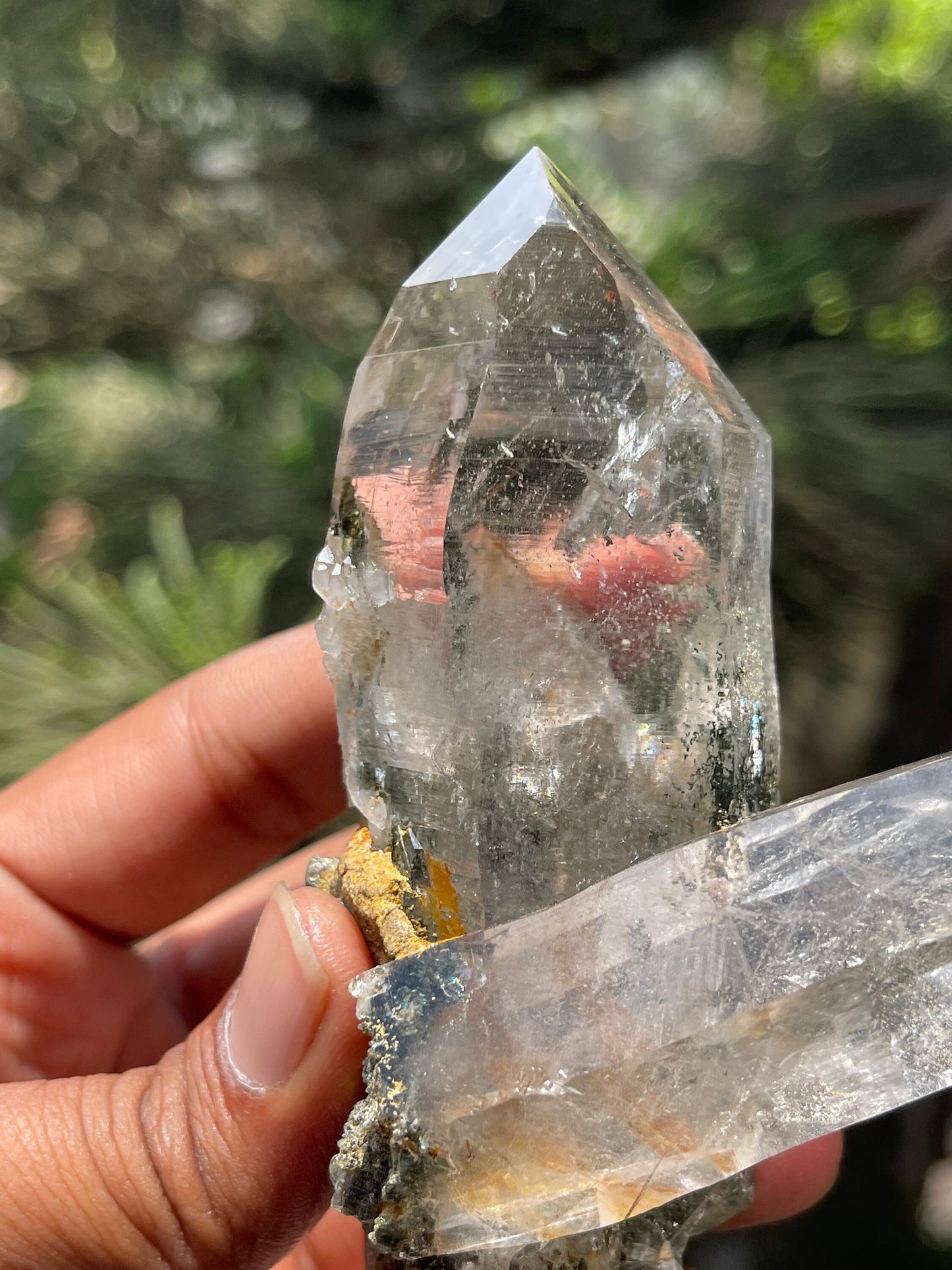 Twin Himalayan Chlorite Quartz Crystal with golden rutile