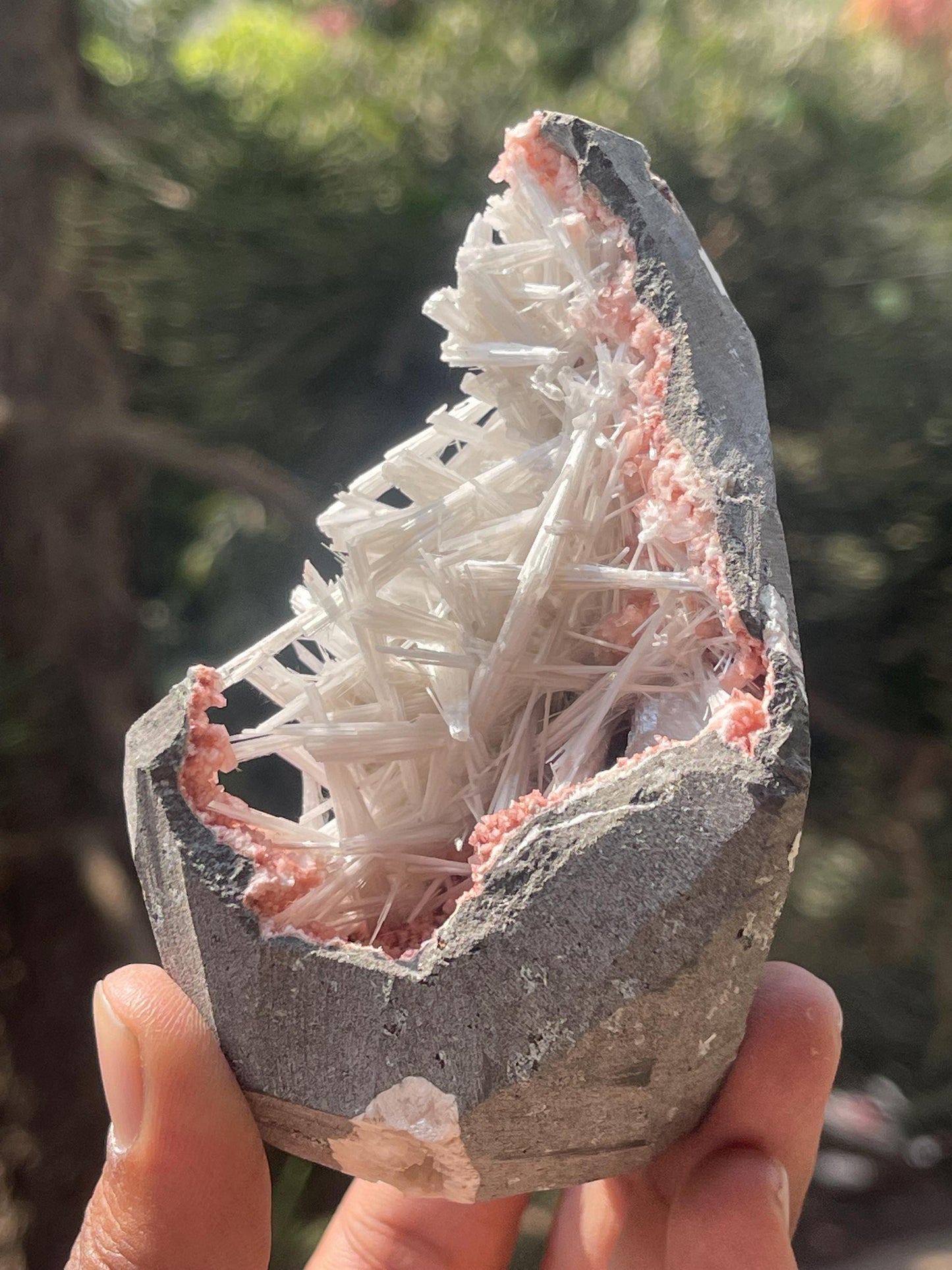 scolecite spray on orange heulandite matrix