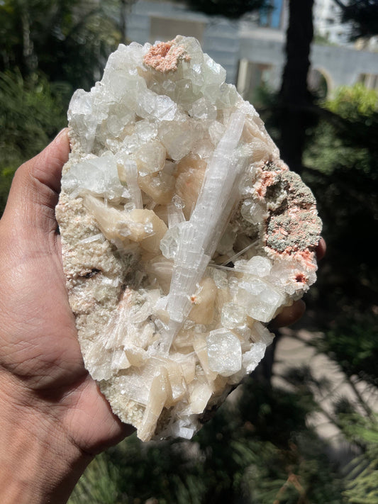 Scolecite spray with stilbite/ apophyllite crystals