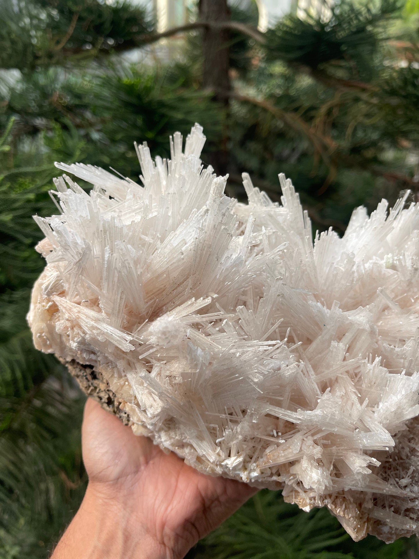 Scolecite spray on stilbite base