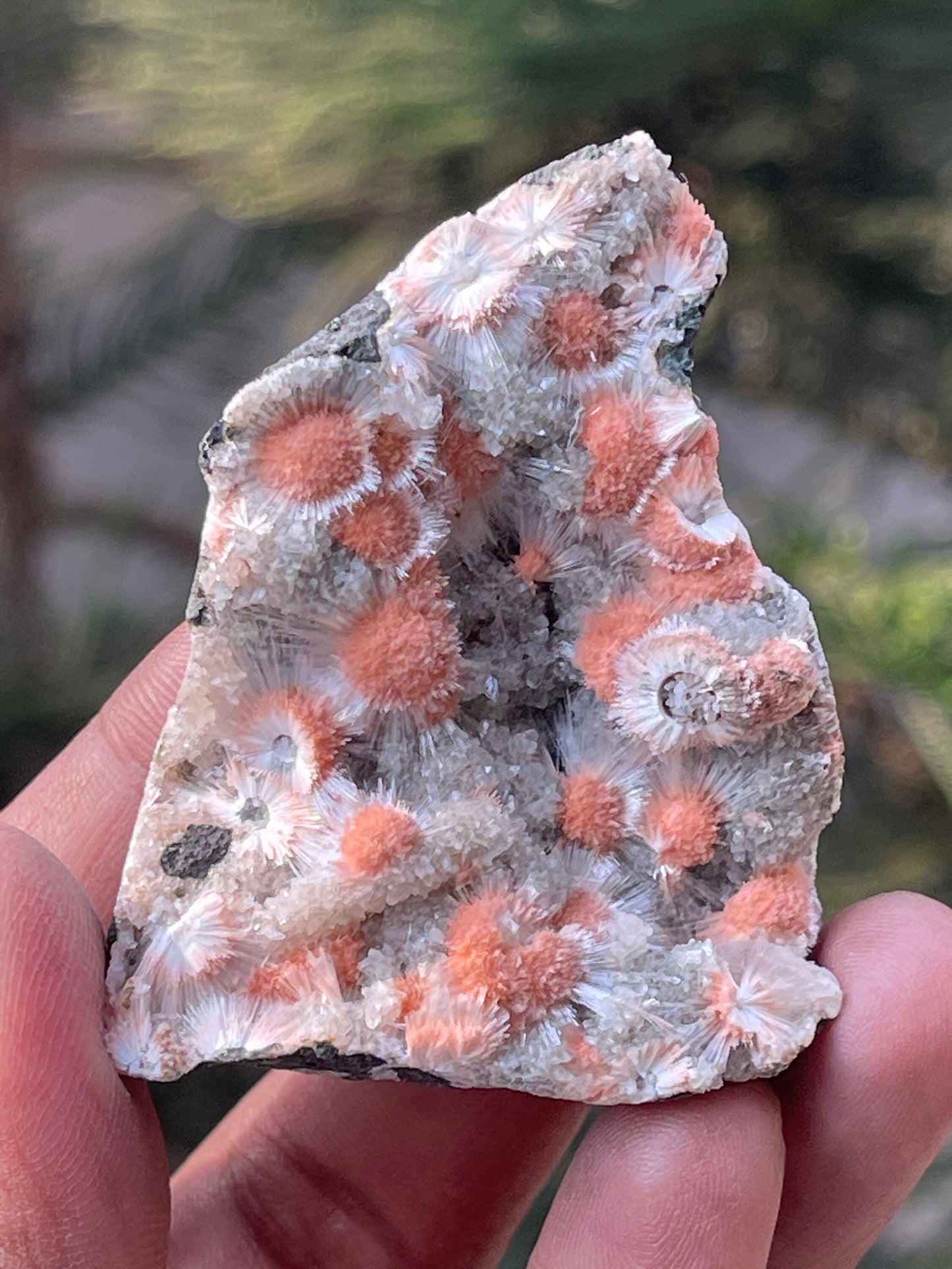 Orange mesolite crystal on heulandite matrix