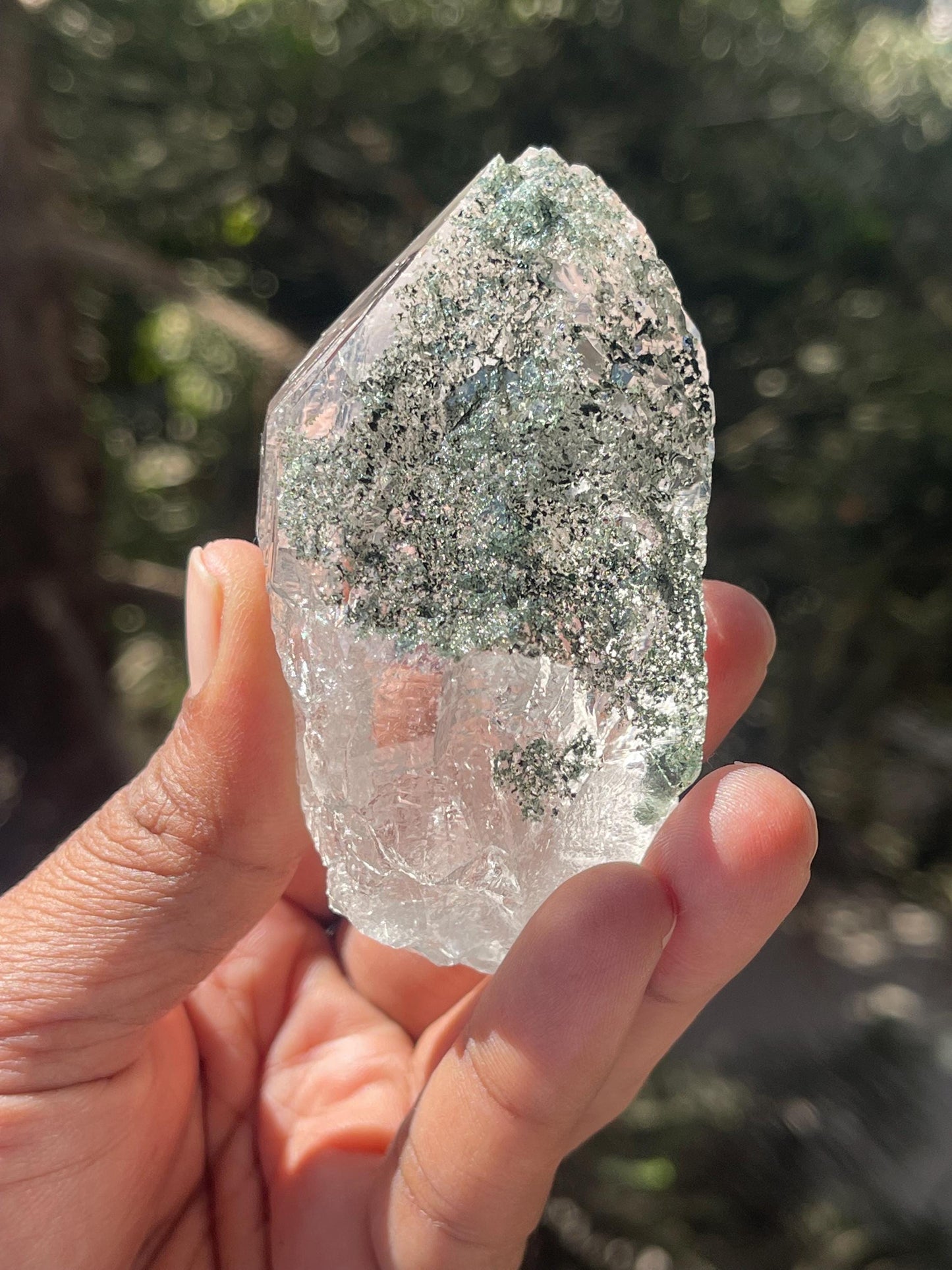Rare Himalayan Cathedral Quartz Crystal with Green Chlorite – High-Energy Healing crystal