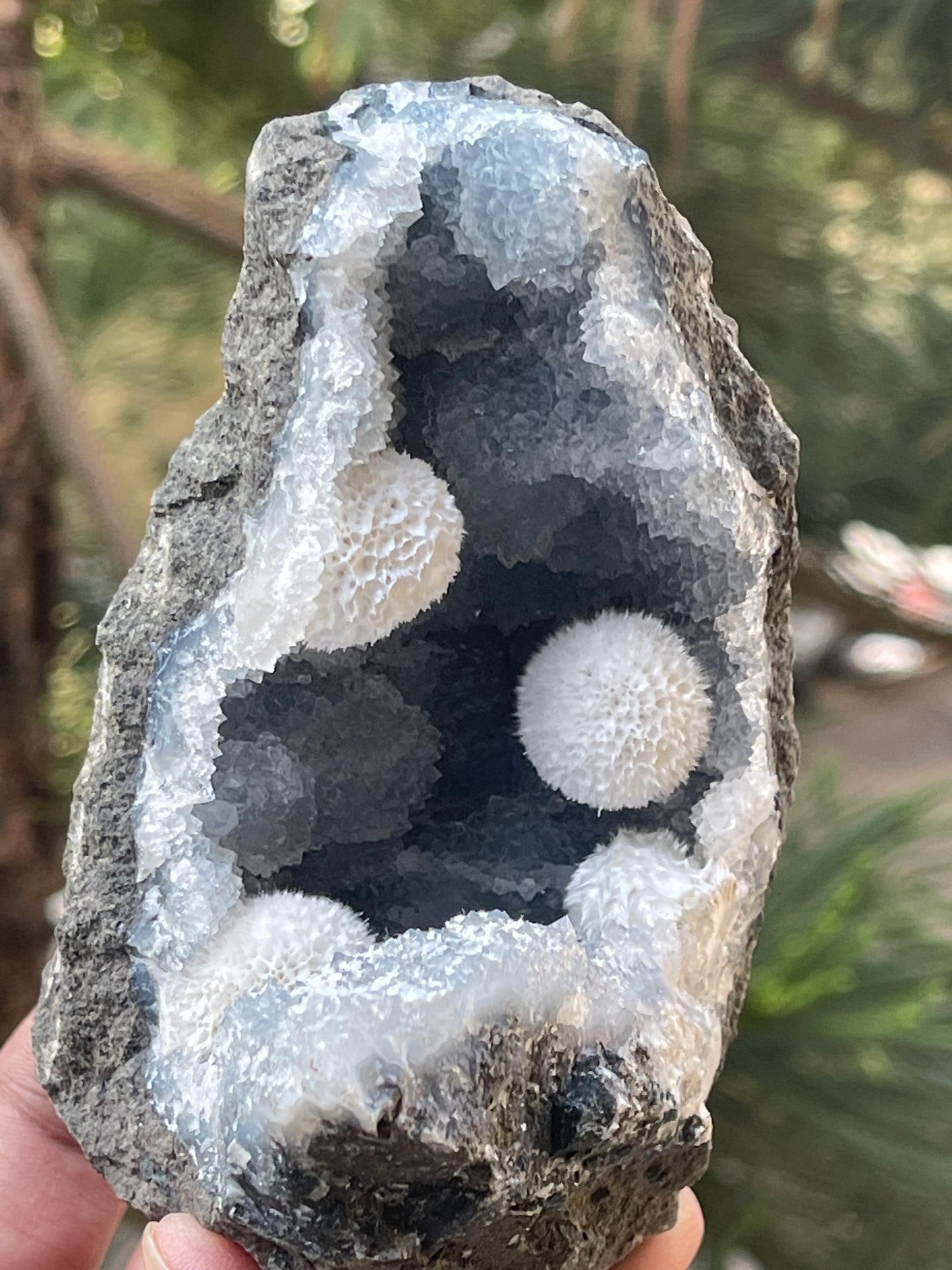 Multiple okenite ball on blue chalcedony quartz