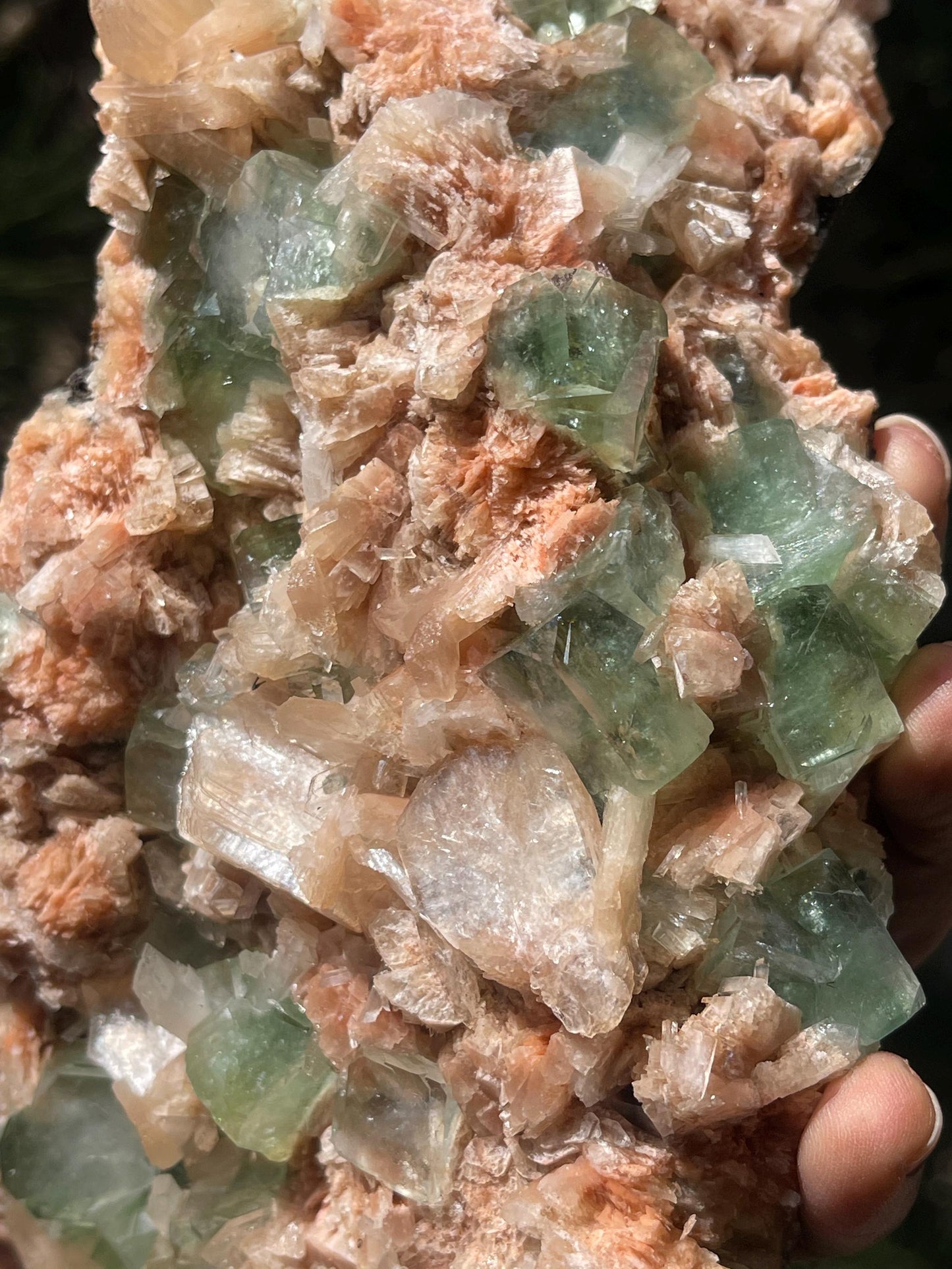 Dark green apophyllite cubes with stilbite
