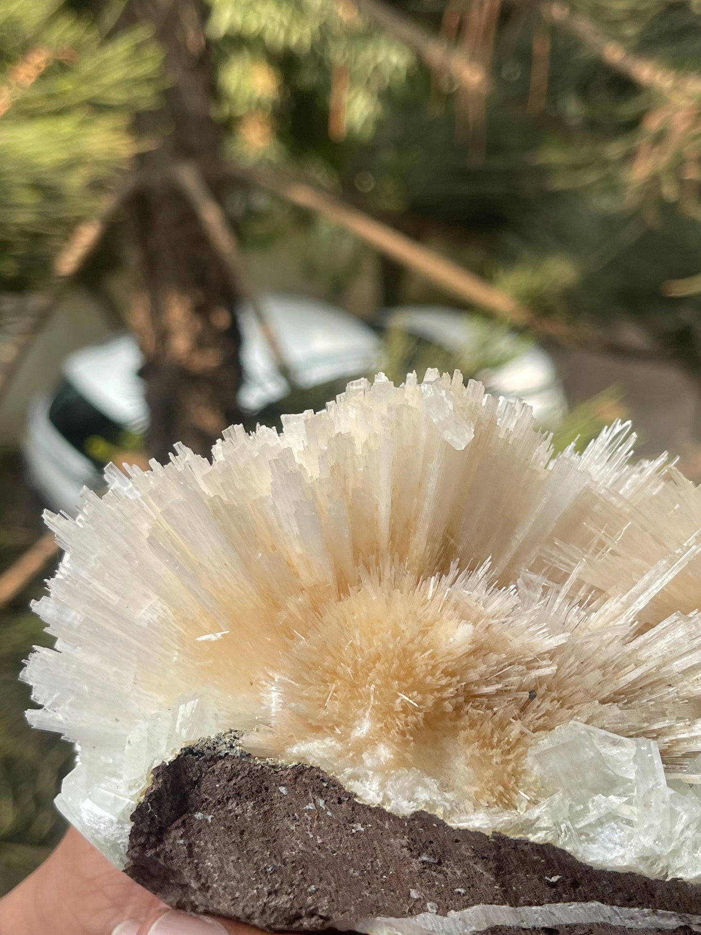 Pink scolecite flower with green apophyllite crystals