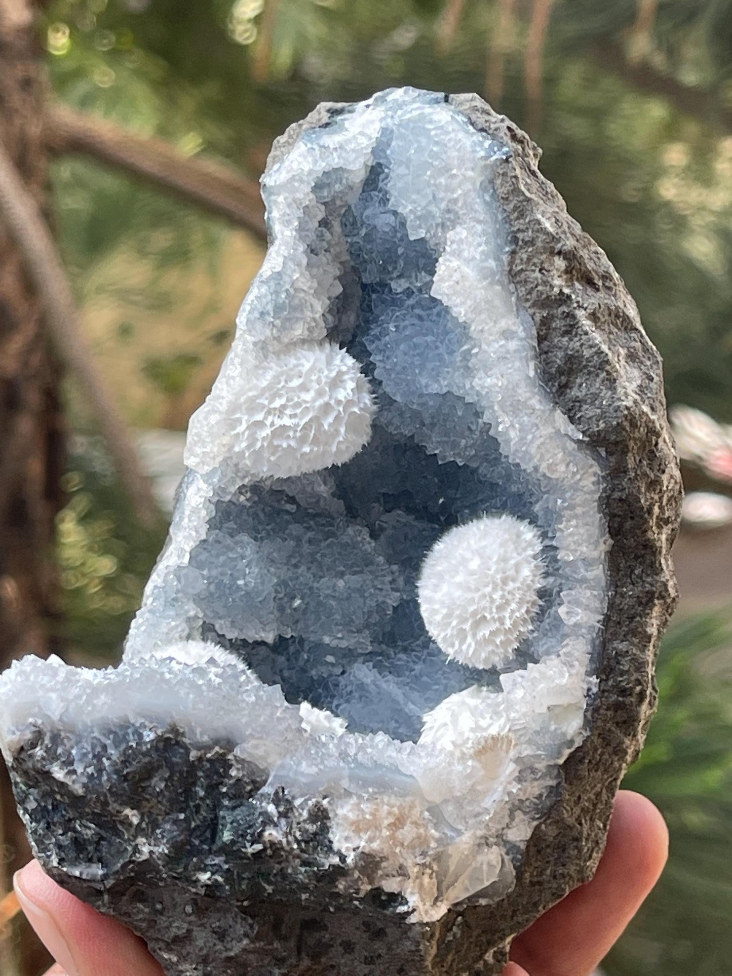 Multiple okenite ball on blue chalcedony quartz