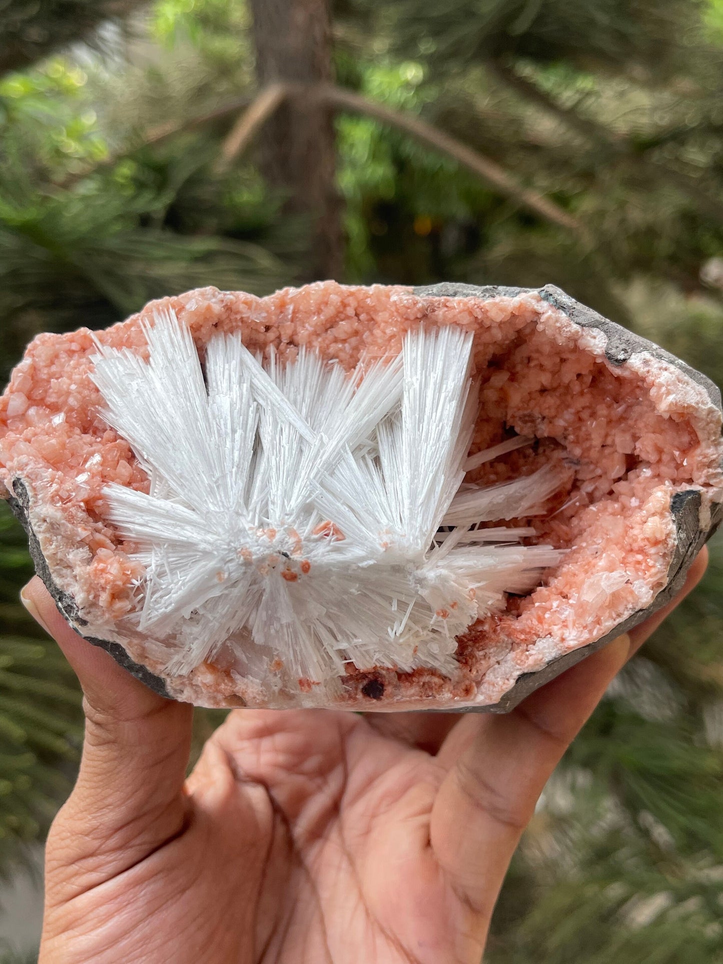 Scolecite sprays on orange heulandite matrix