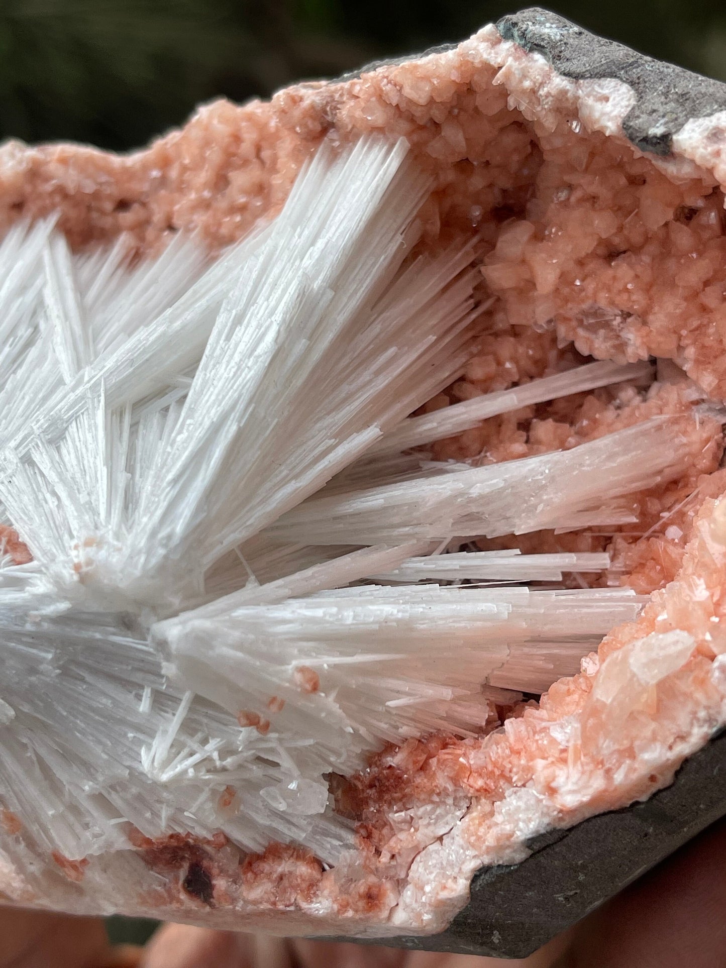 Scolecite sprays on orange heulandite matrix