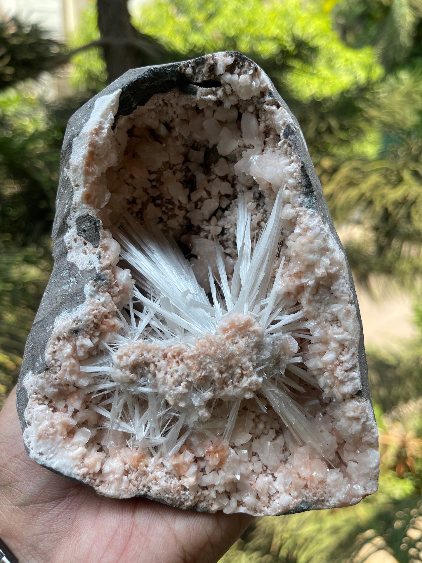 Scolecite spray with orange heulandite crystals inside geode natural specimen
