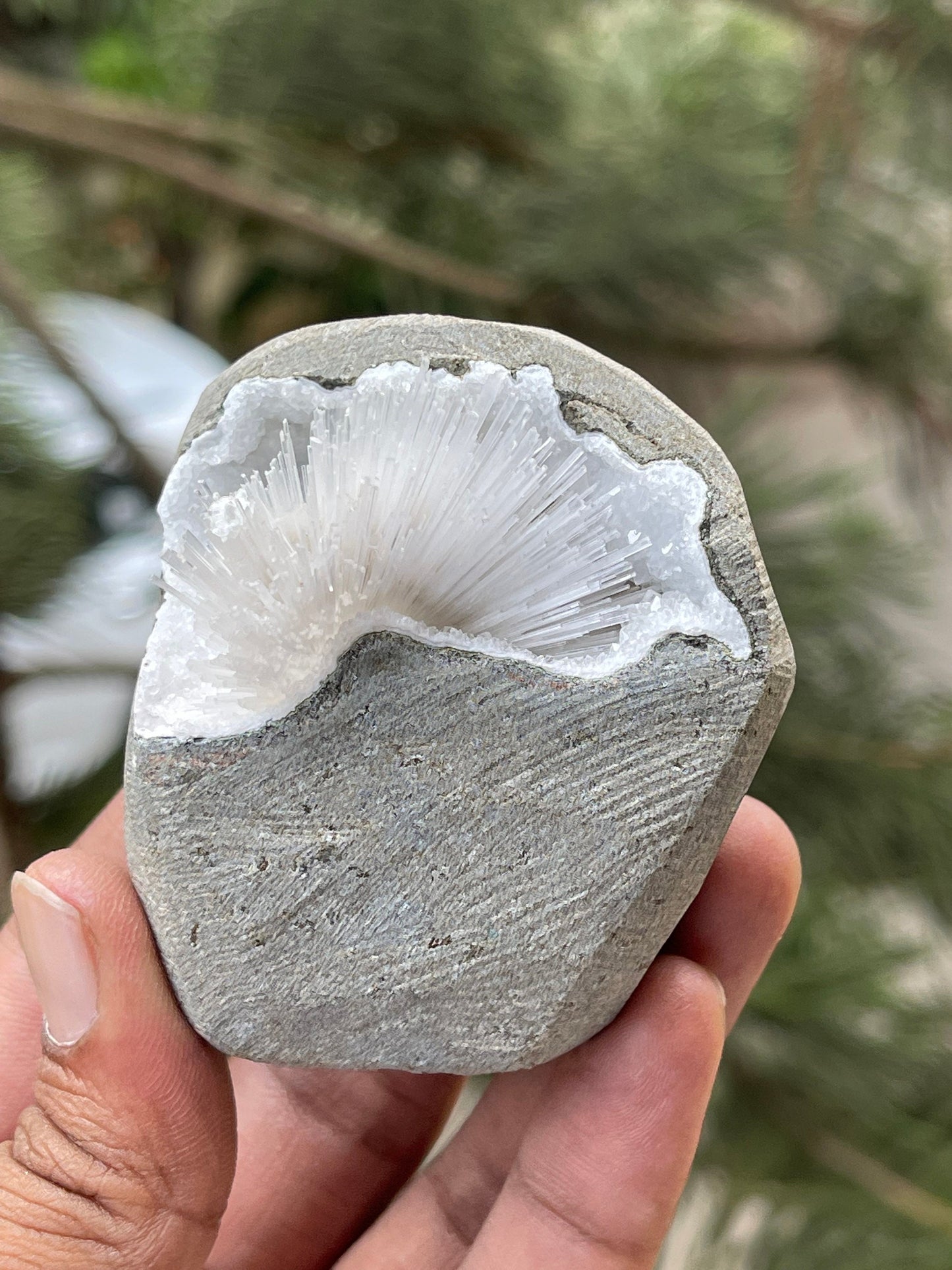 Scolecite flower inside geode