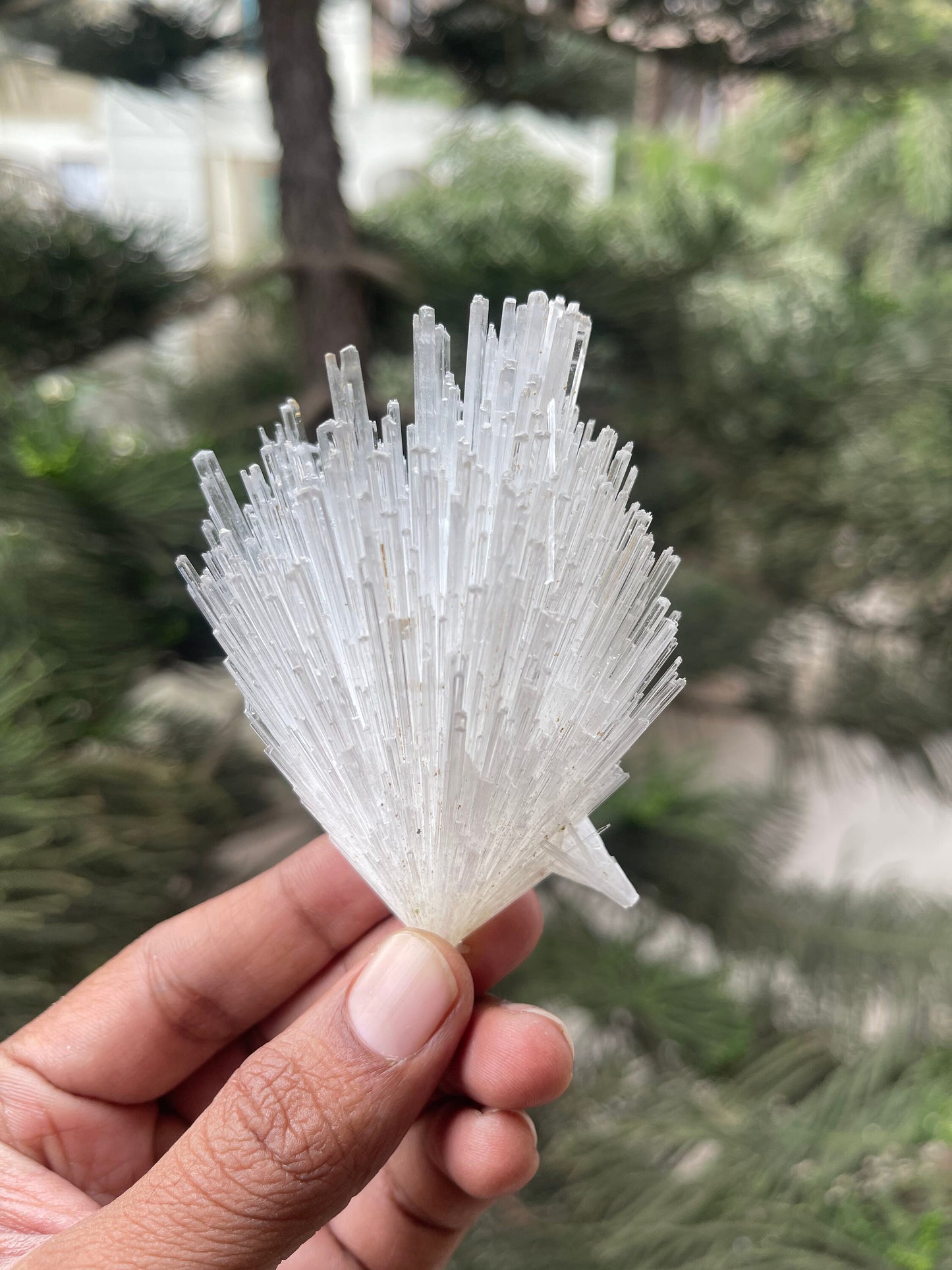 Glossy scolecite flower