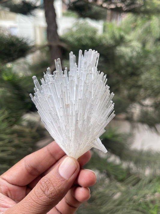 Glossy scolecite flower