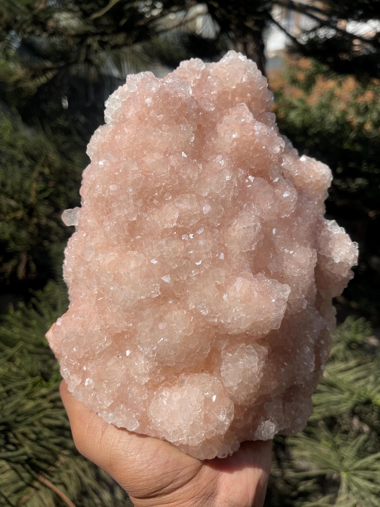 glossy pink apophyllite mineral specimen