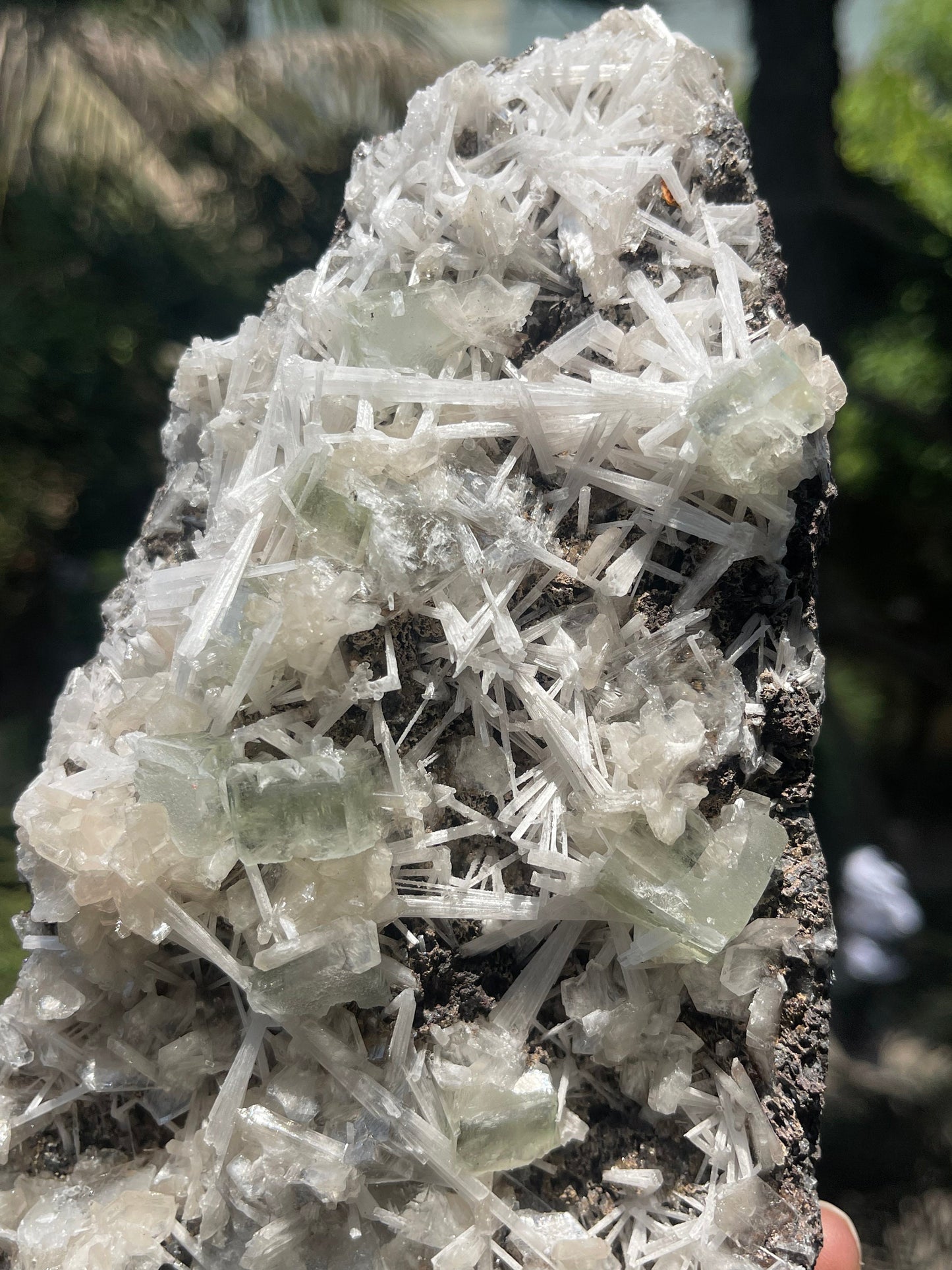 Scolecite spray with green apophyllite/stilbite natural specimen