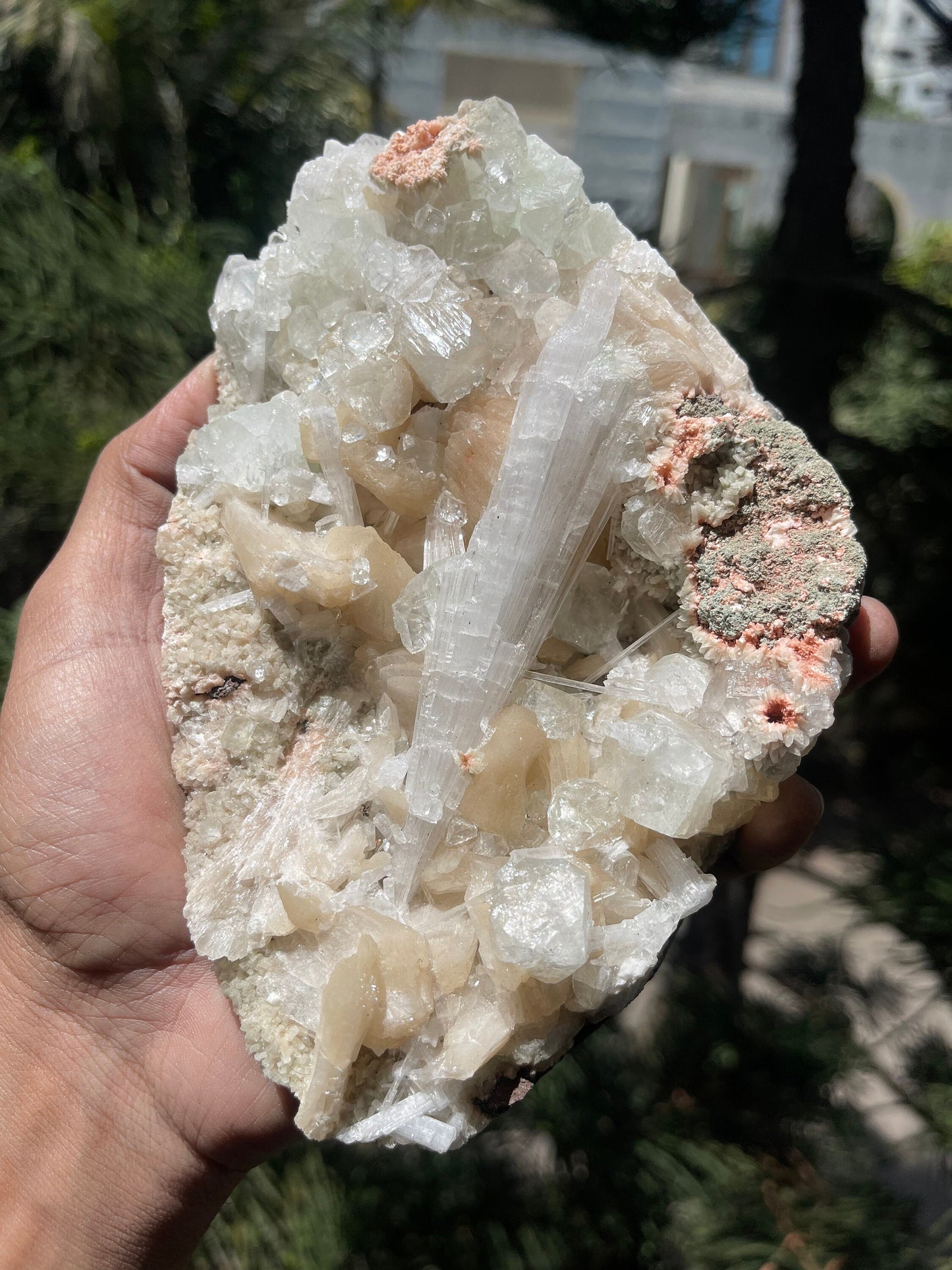 Scolecite spray with stilbite/ apophyllite crystals