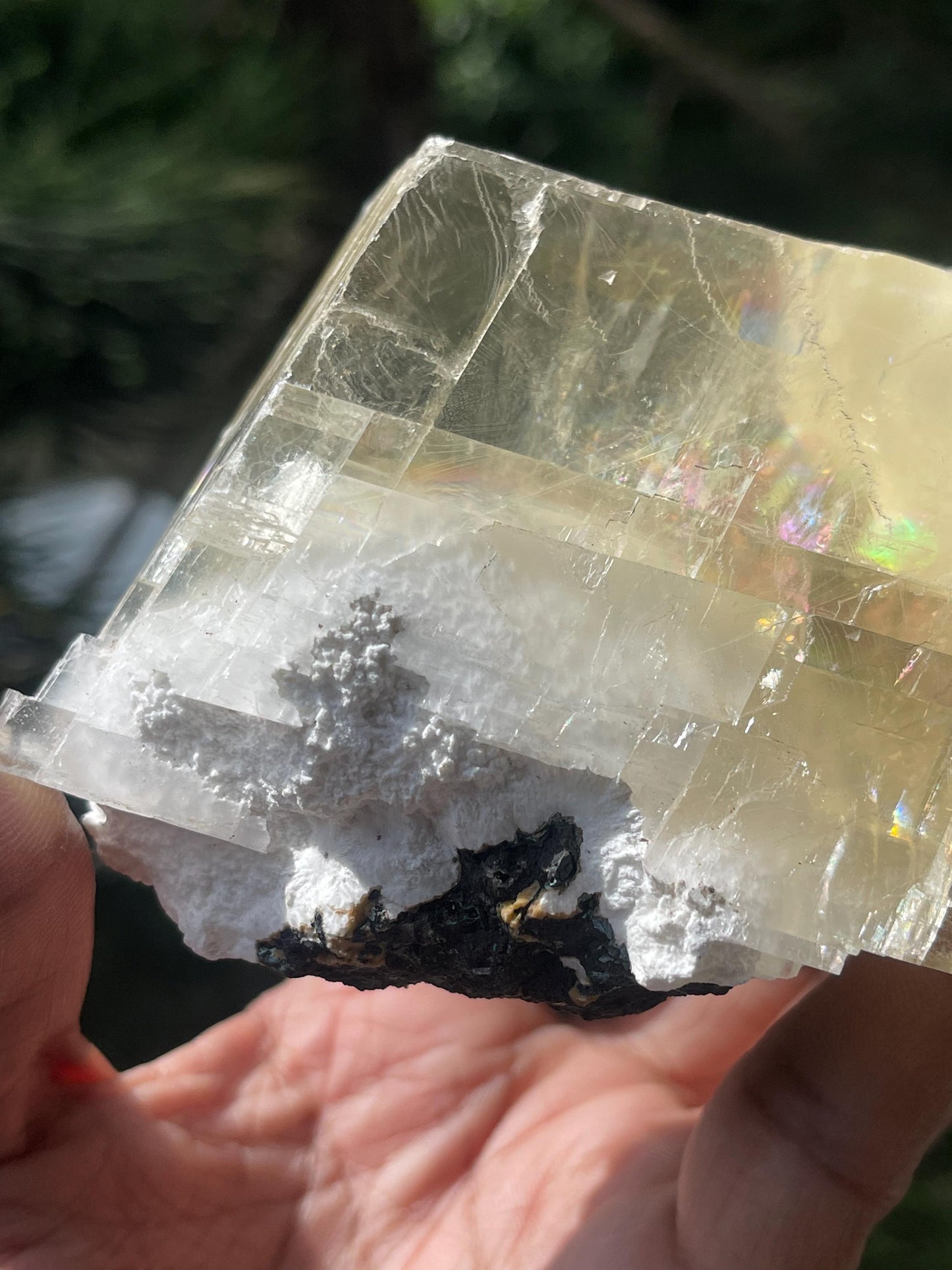 Golden calcite crystal inside mordenite with rainbow