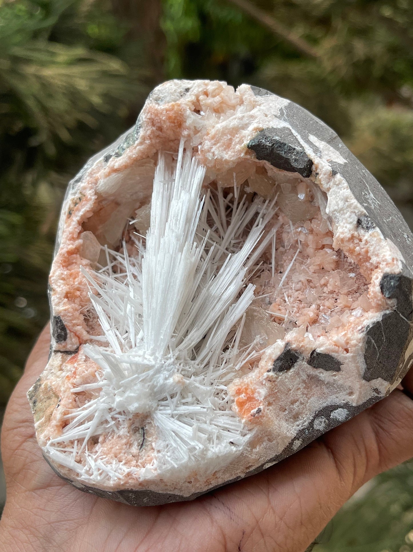 Scolecite flower inside orange haulandite geode