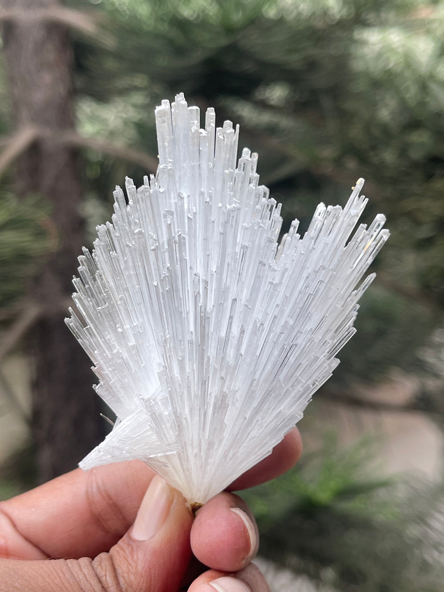Glossy scolecite flower