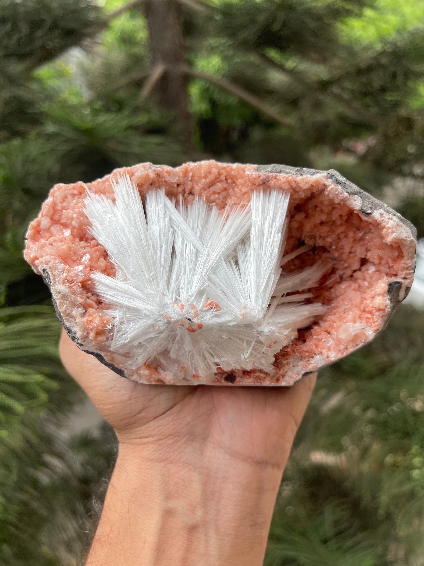 Scolecite sprays on orange heulandite matrix