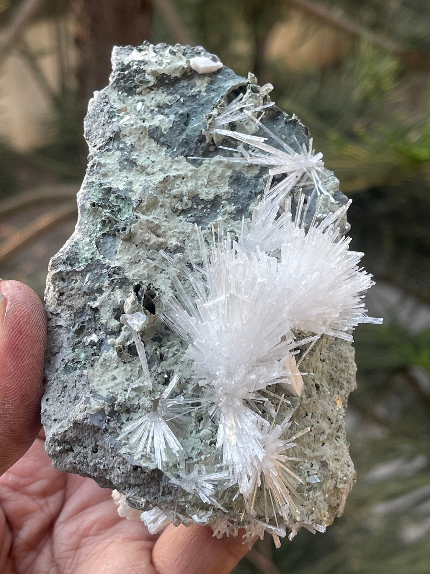 Scolecite Crystal on matrix