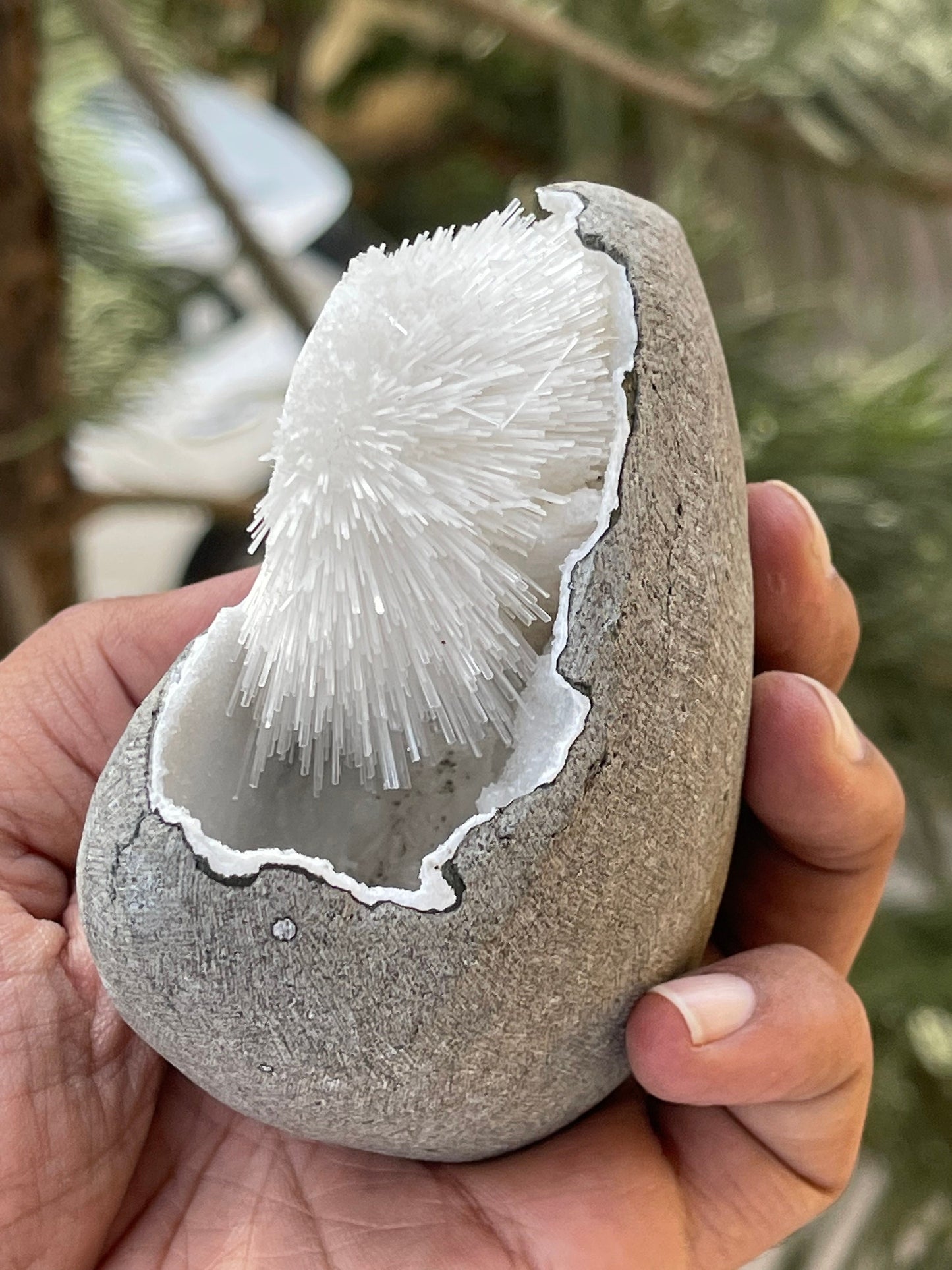 Perfect round of scolecite flowers inside quartz geode natural specimen