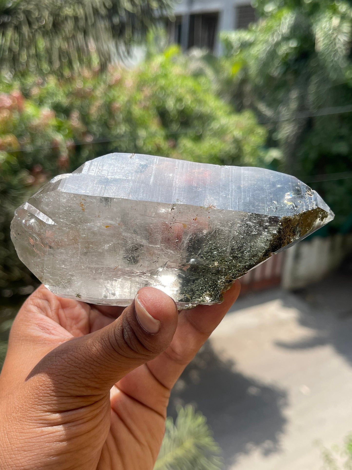 Rare formation.. double terminated of Himalayan quartz crystals with green Chlorite/golden rutile