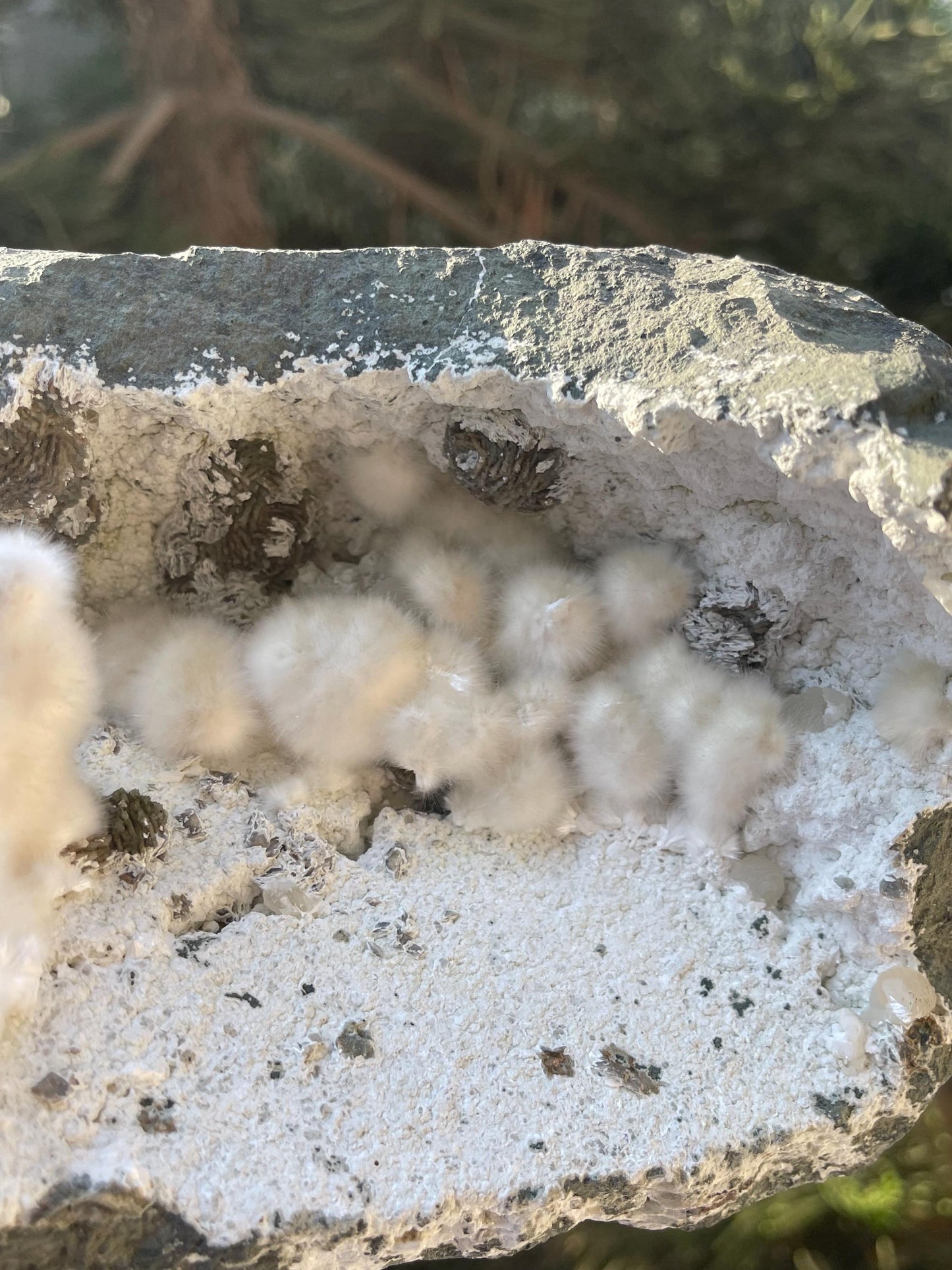 multiple okenite balls inside geode