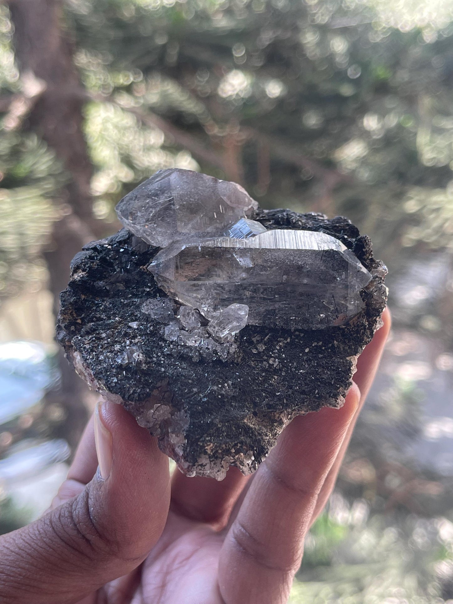 twice Himalayan quartz crystal on black rutile matrix rare find