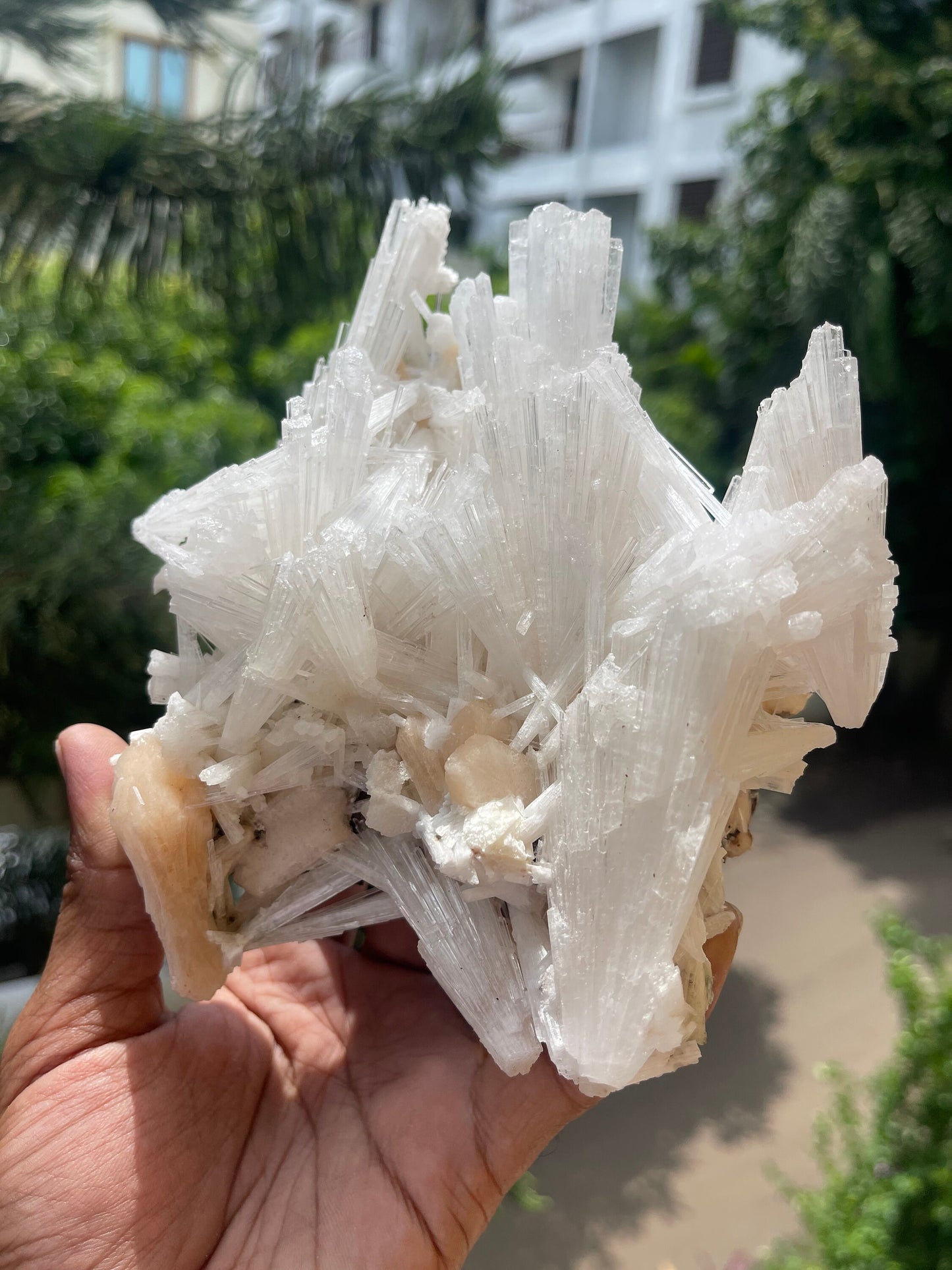 Scolecite crystal with stilbite