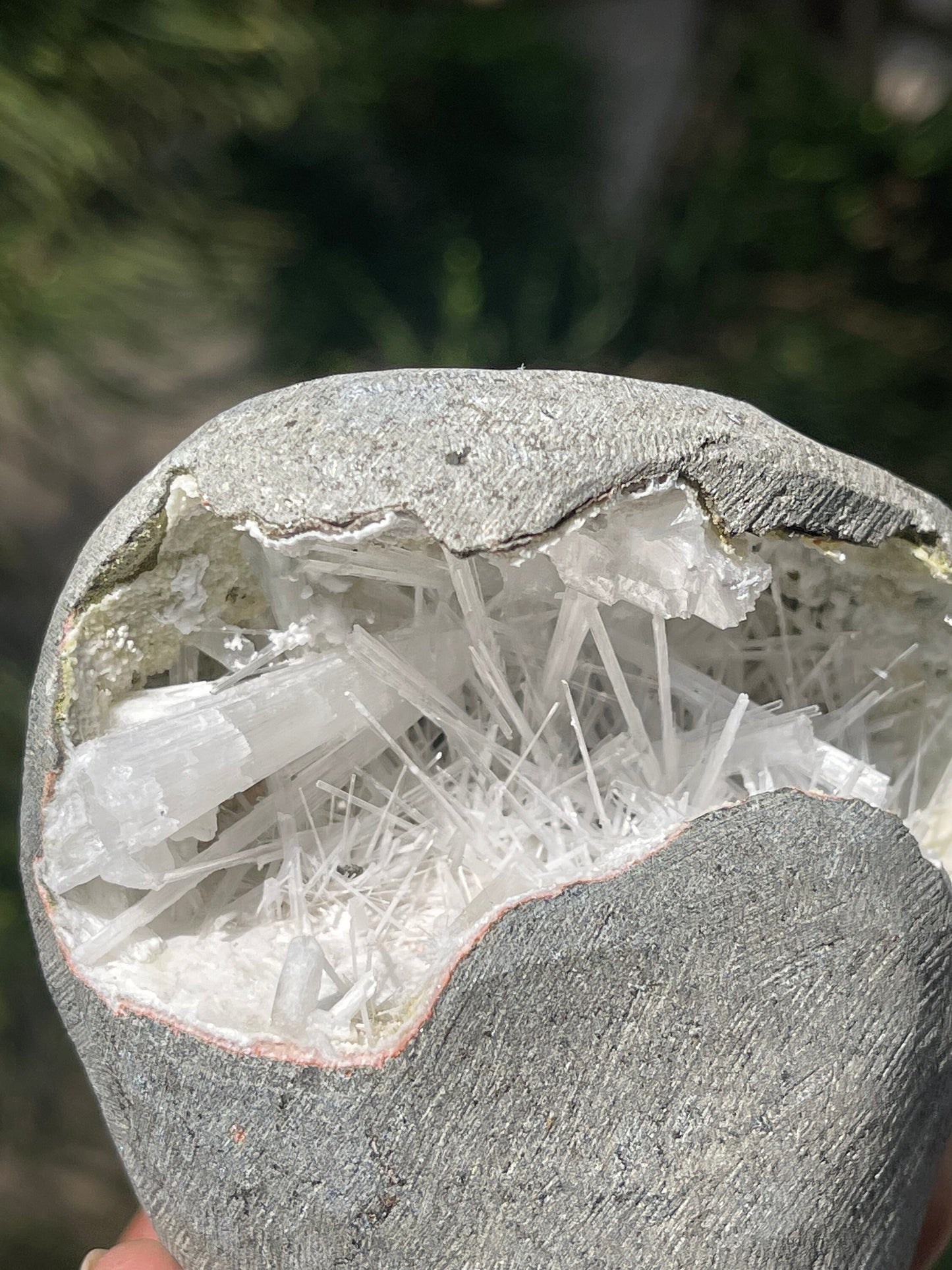 Scolecite crystals inside geode