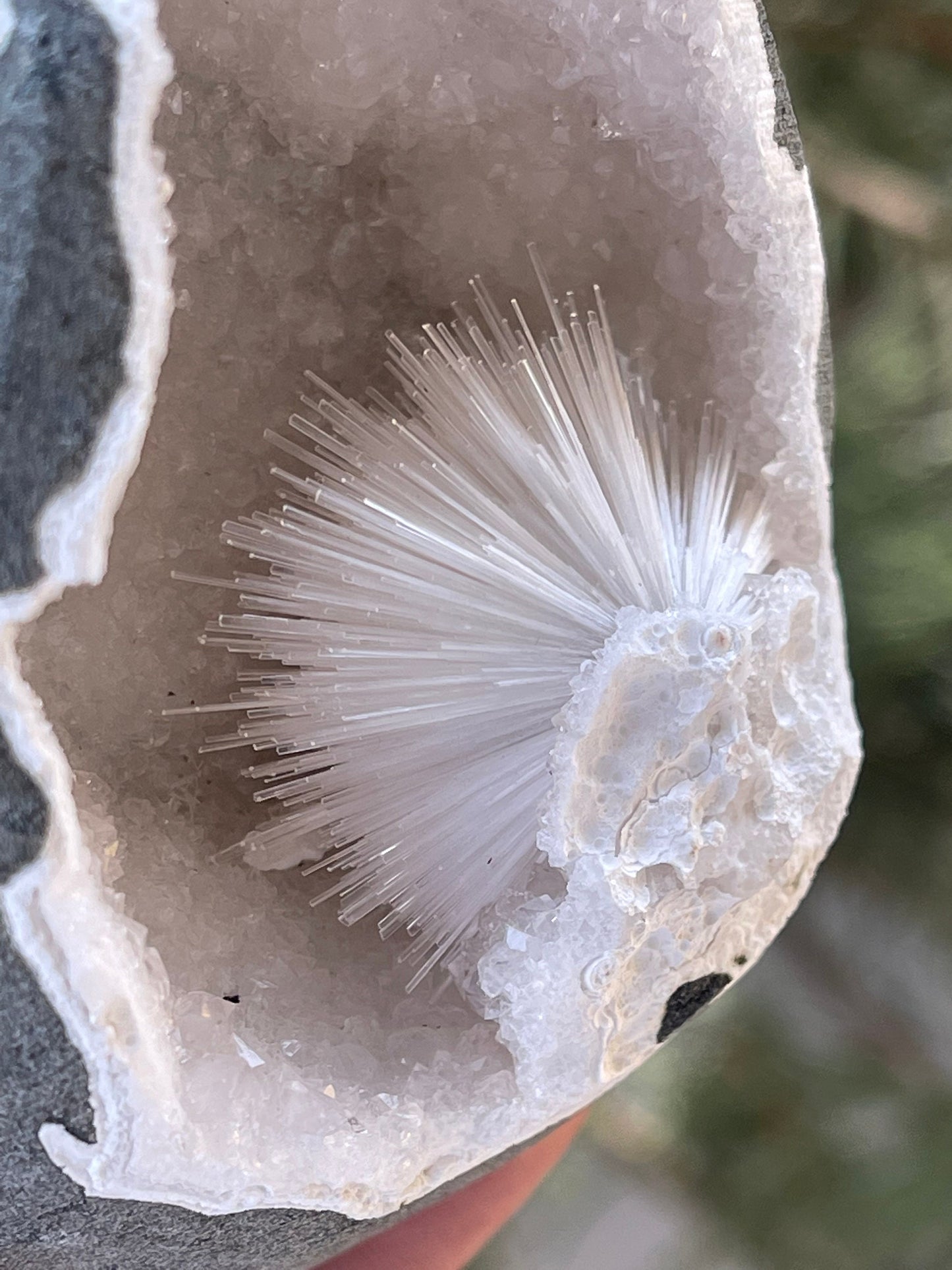 Perfect scolecite flower inside quartz geode natural specimen
