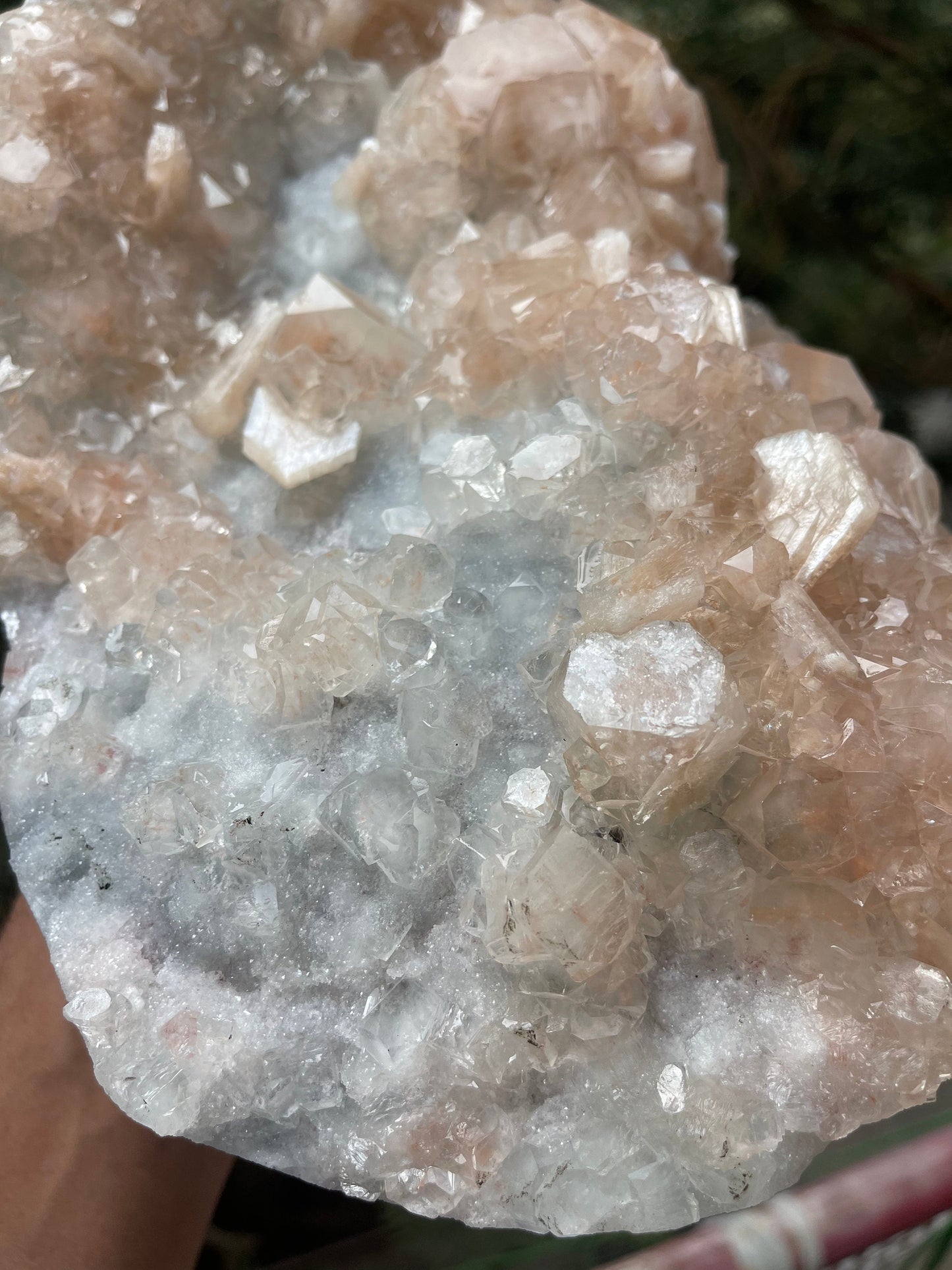 Pink apophyllite with stilbite on chalcedony base #pink