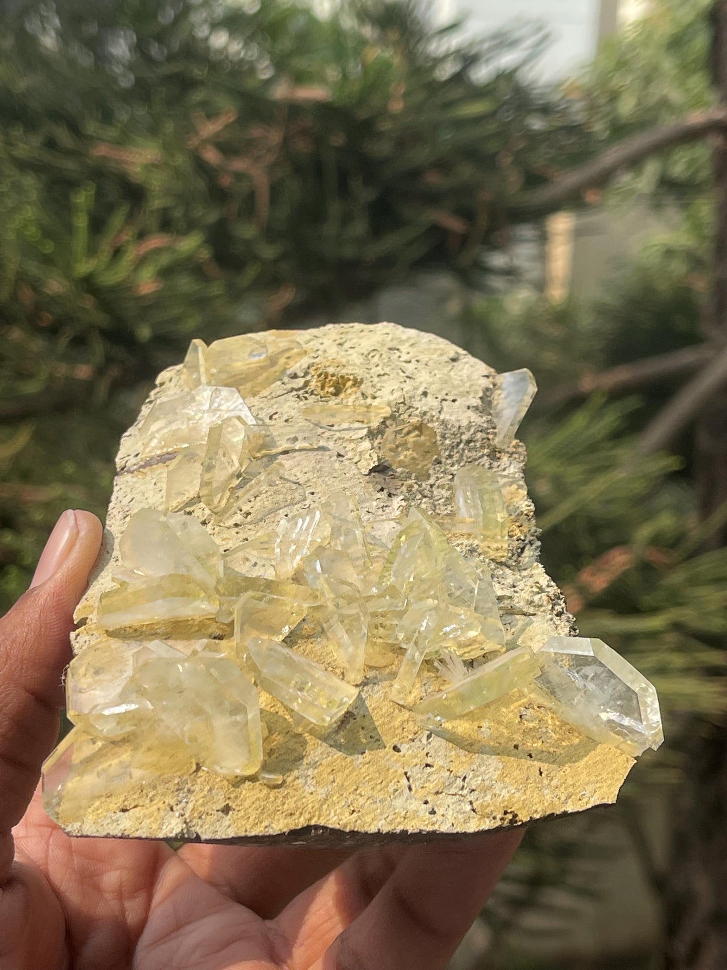 Apophyllite crystals on matrix