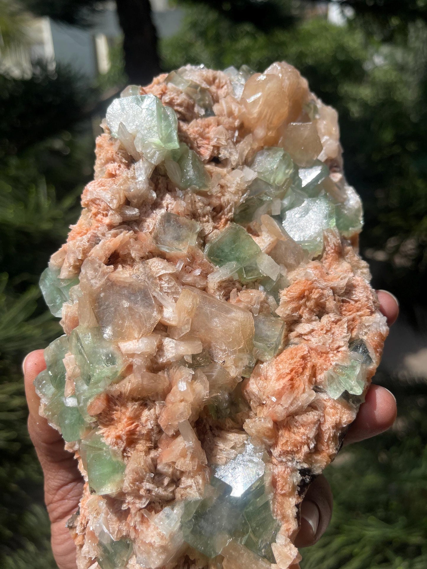 Dark green apophyllite cubes with stilbite