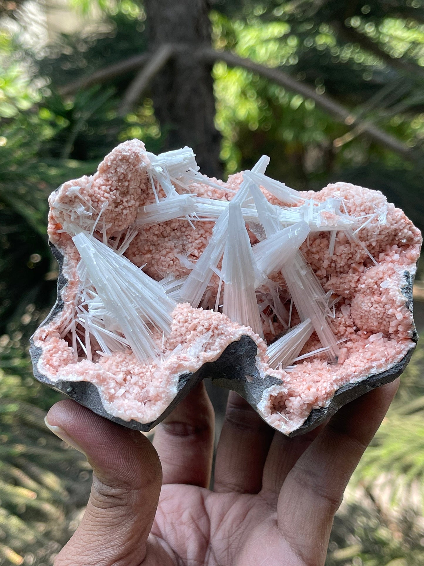 Multiple scolecite sprays on orange heulandite matrix natural specimen