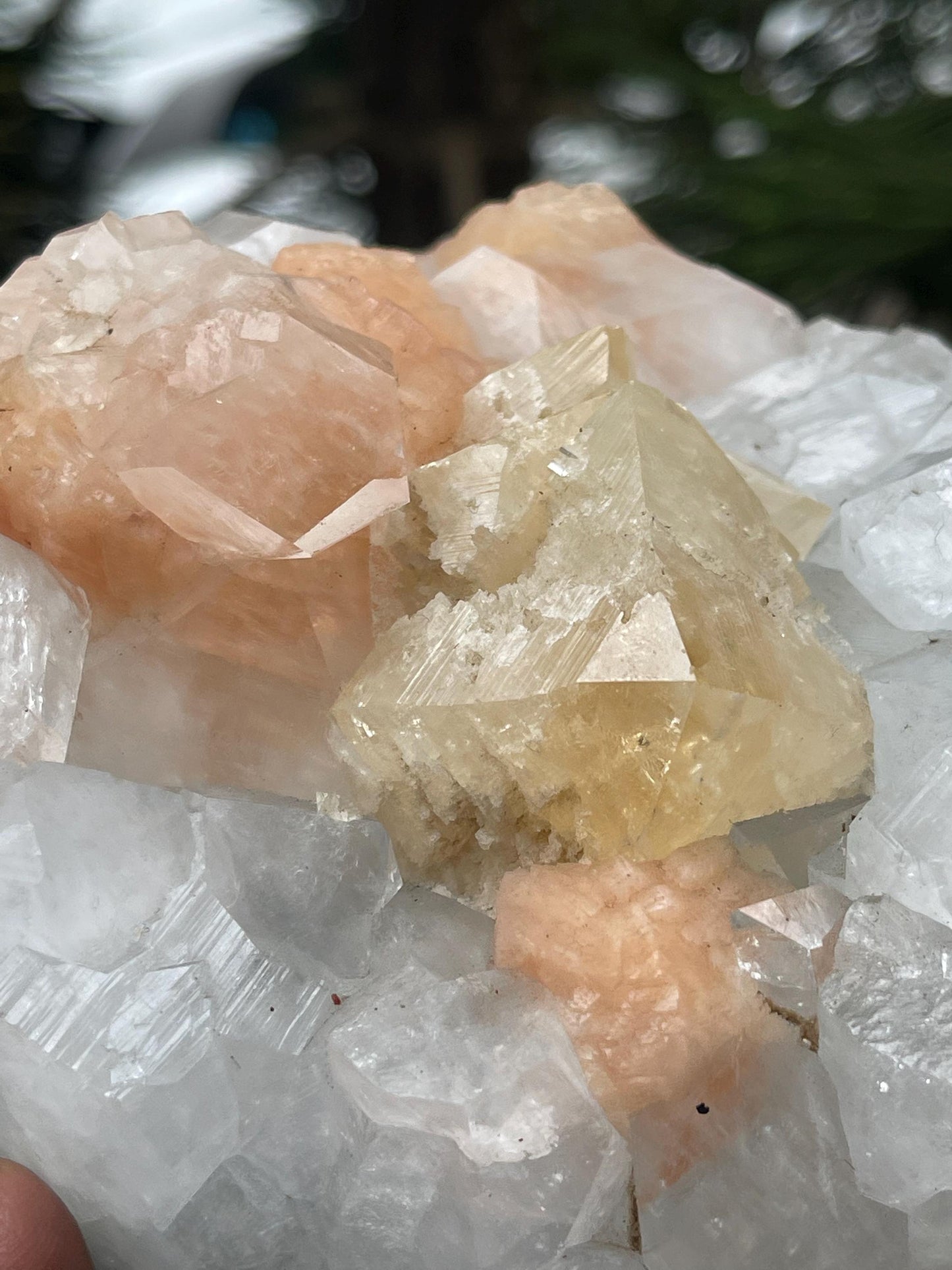 Large size of powellite crystal with orange stilbite/apophyllite