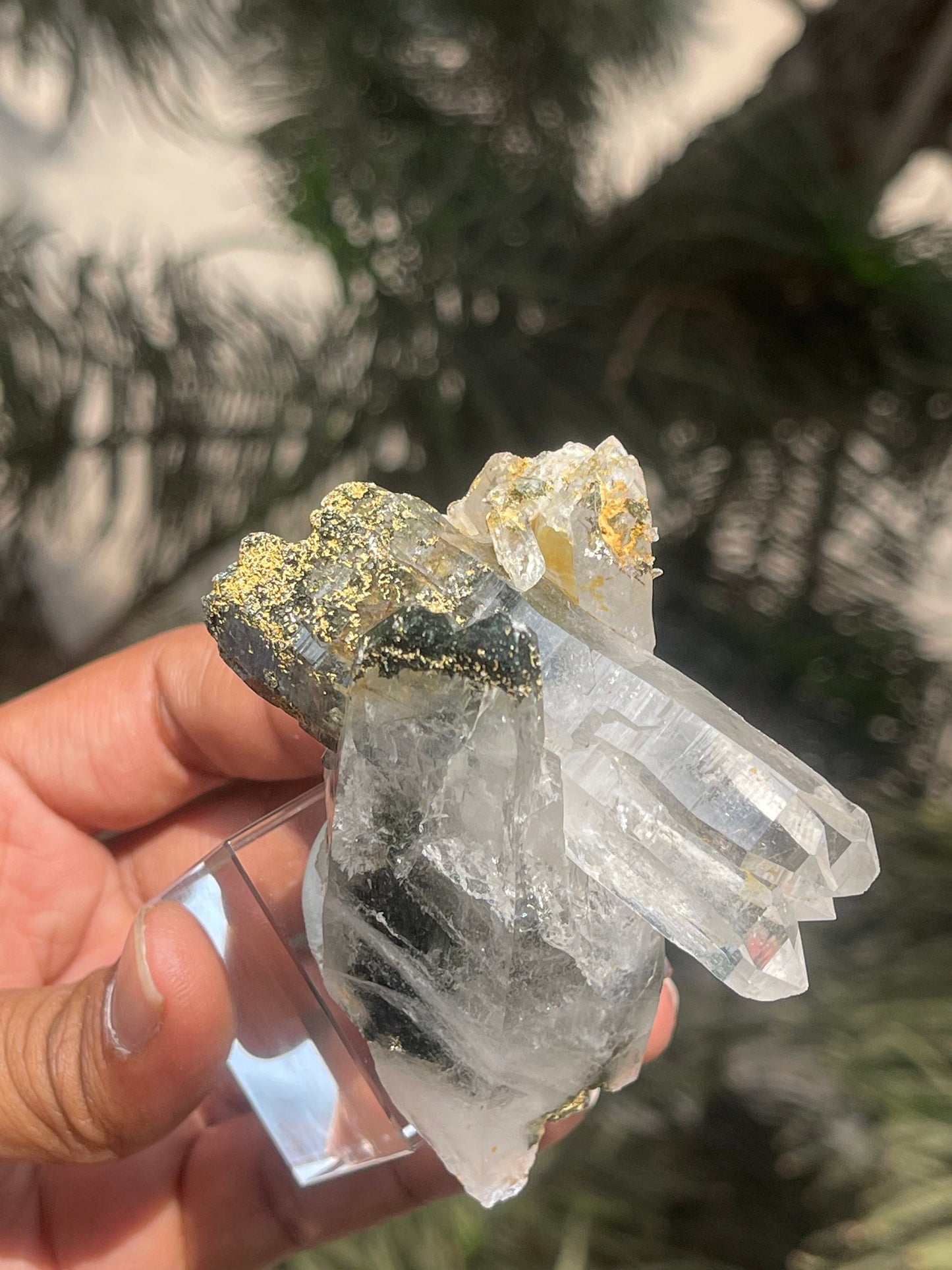 Rare formation of Himalayan quartz crystal